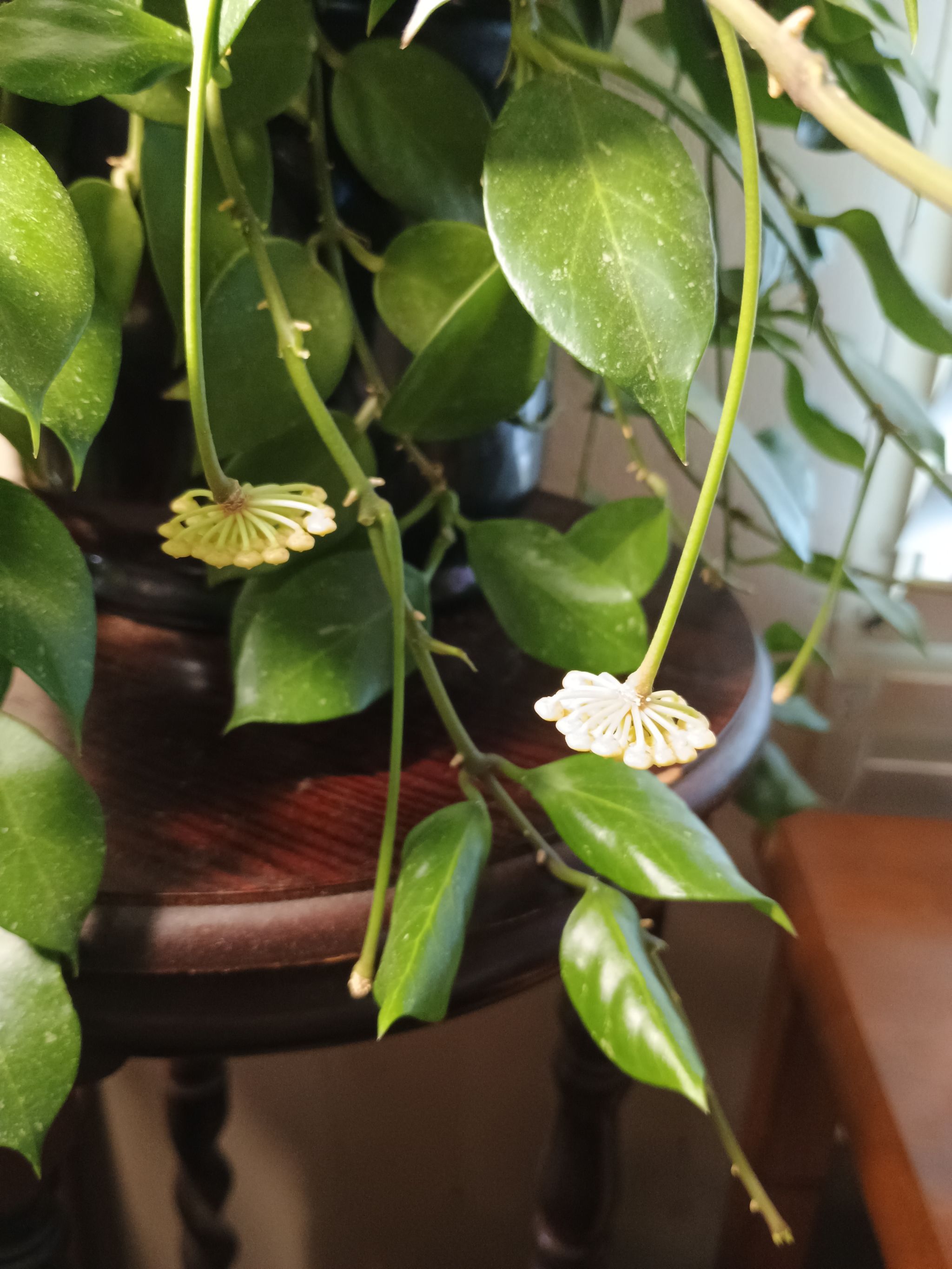 Photo from the post