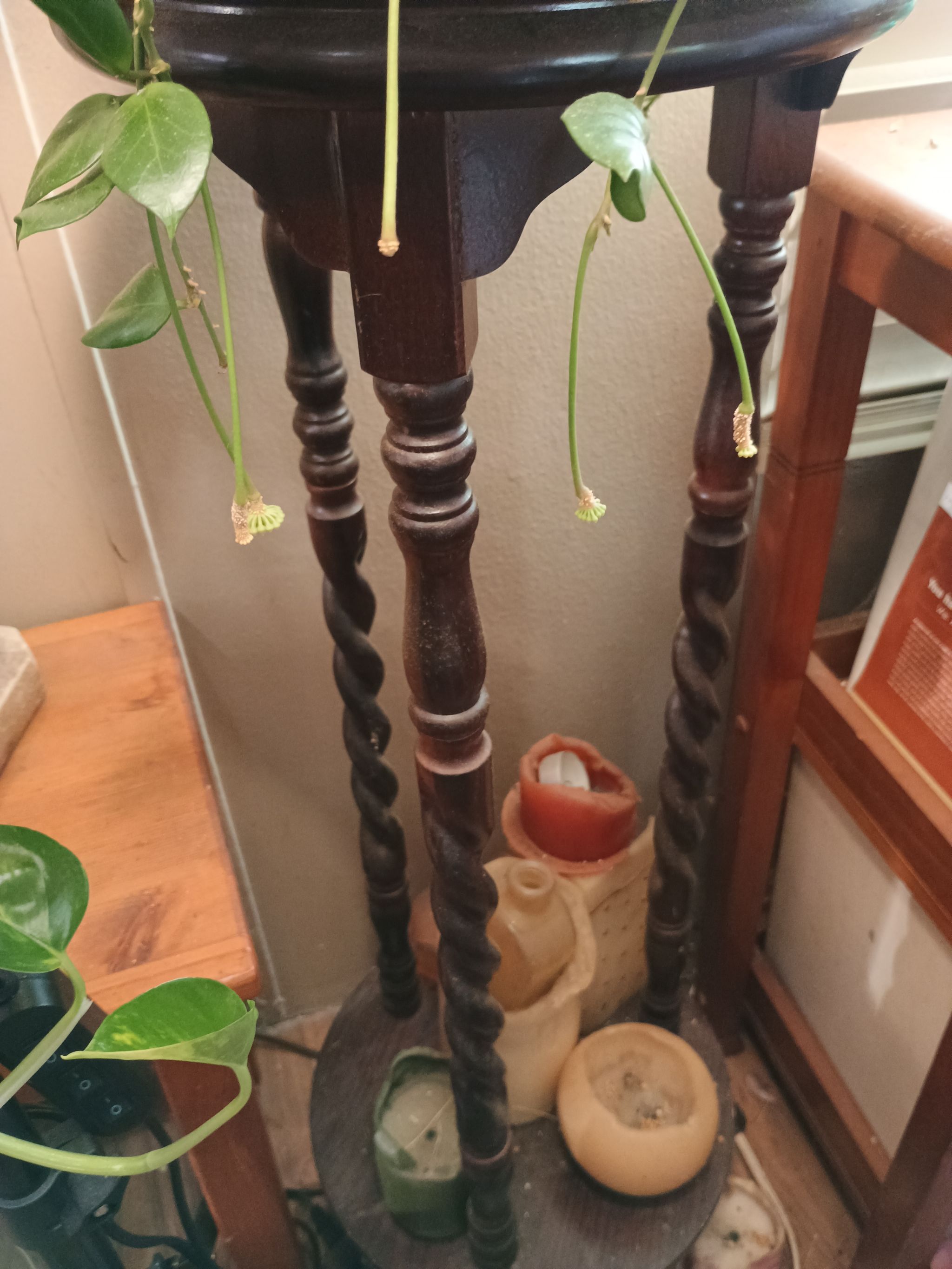 Photo from the post