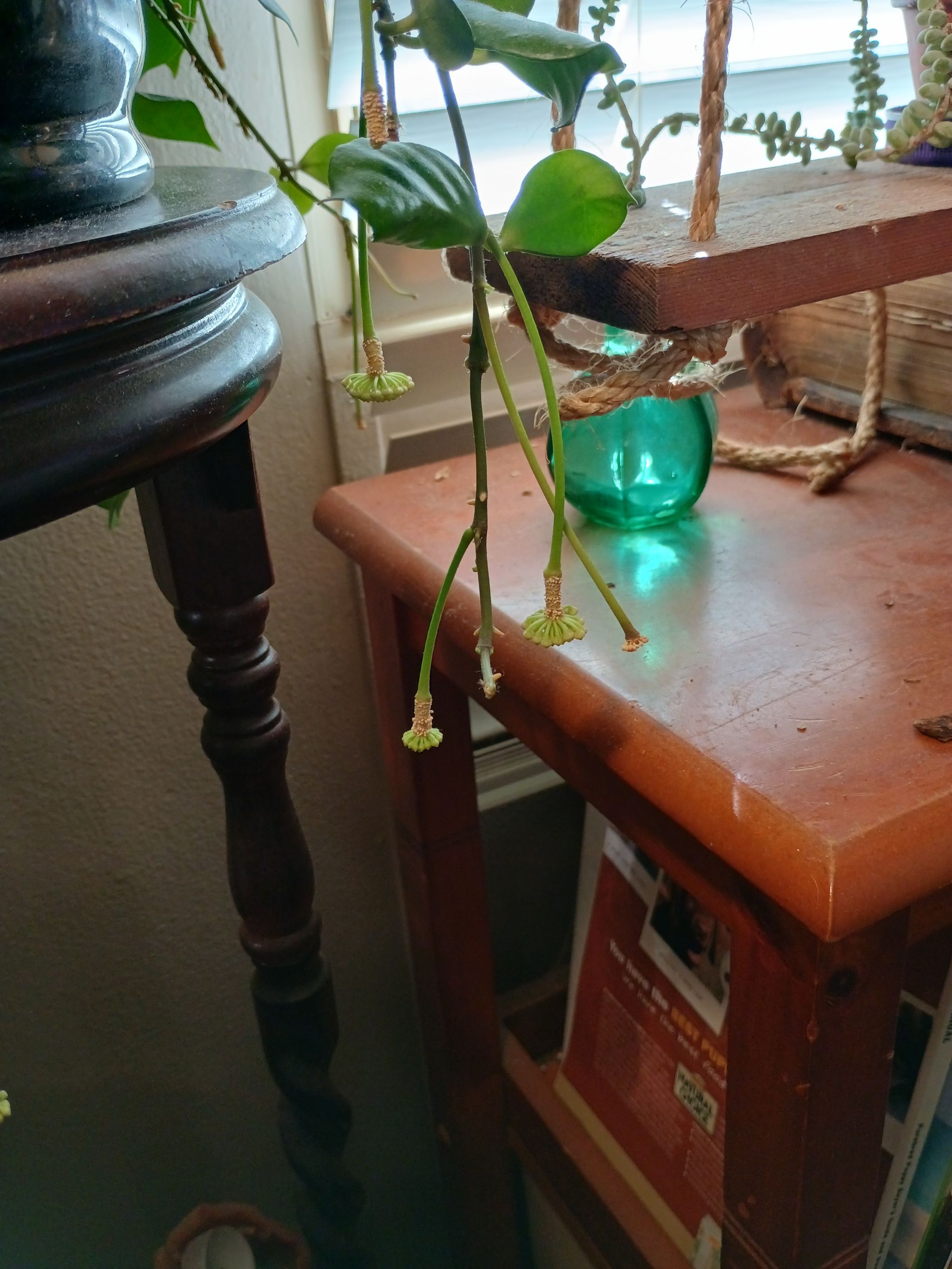 Photo from the post