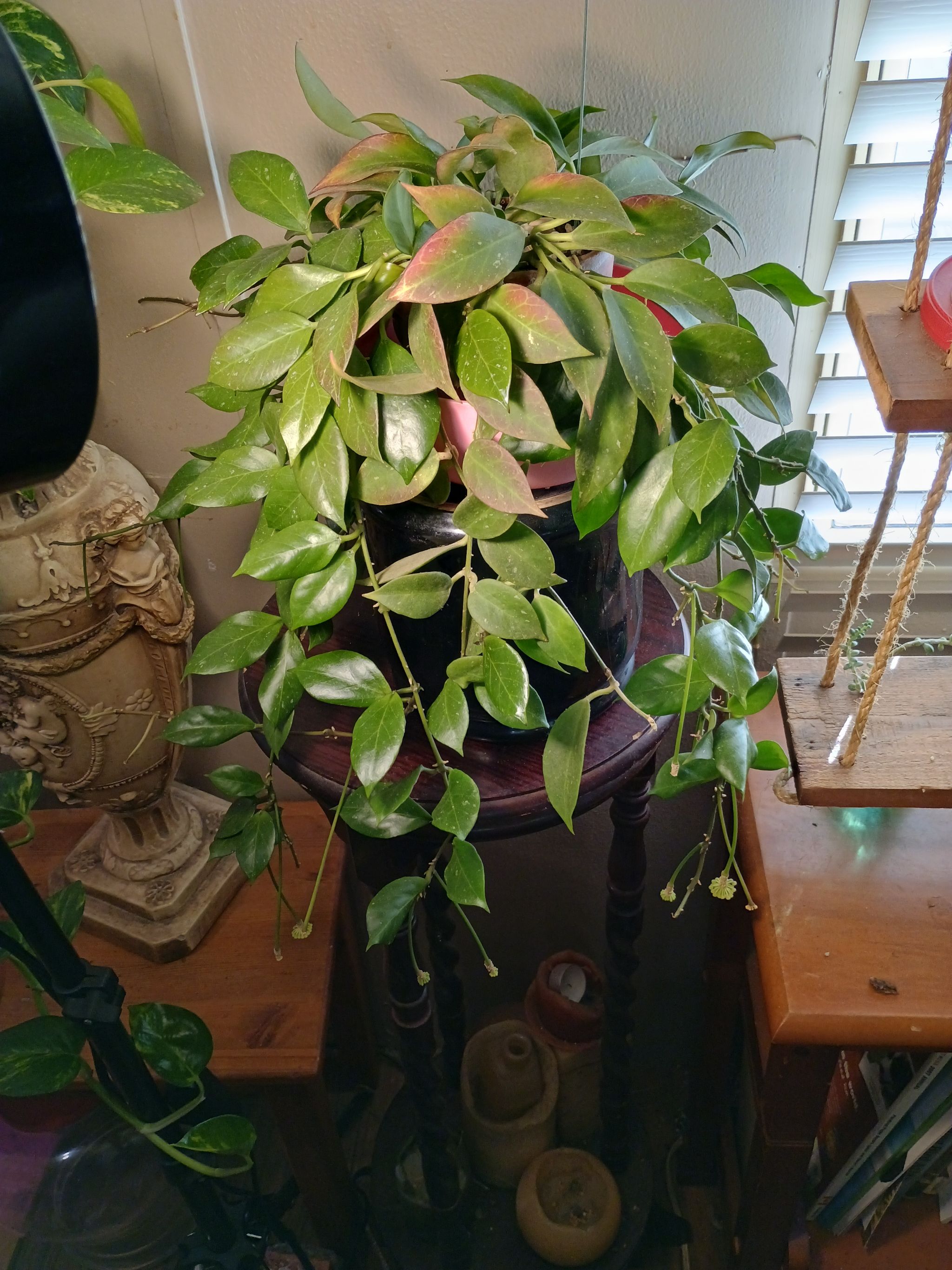 Photo from the post