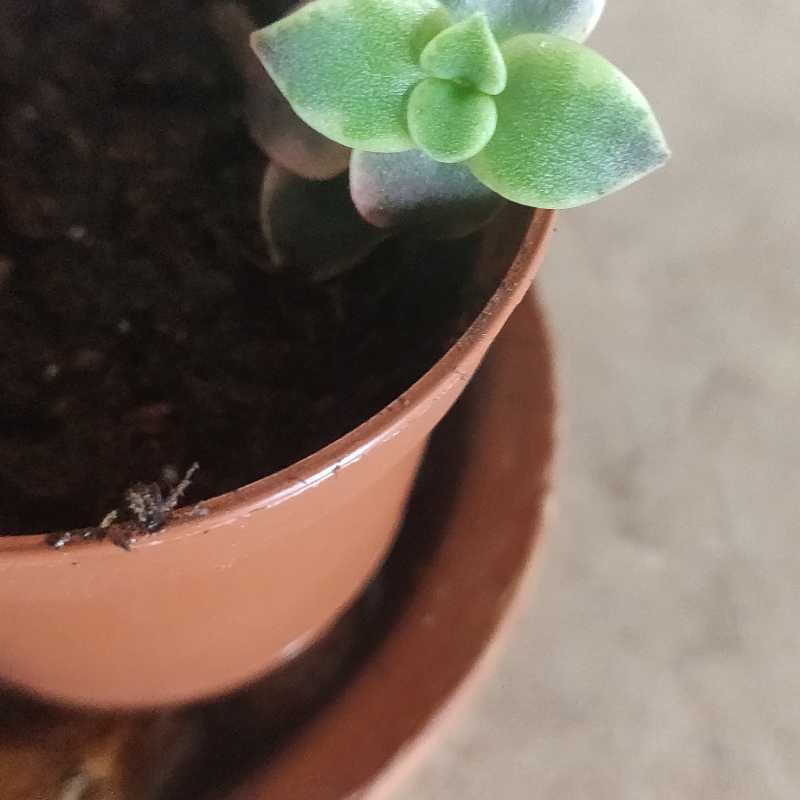Photo from the post