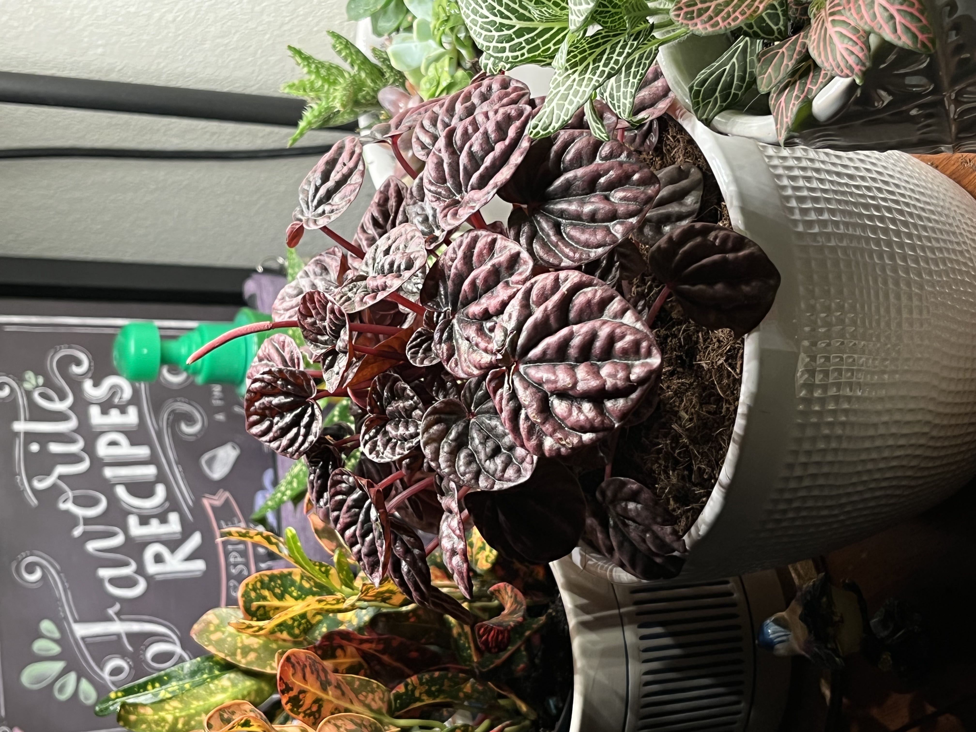 Photo from the post