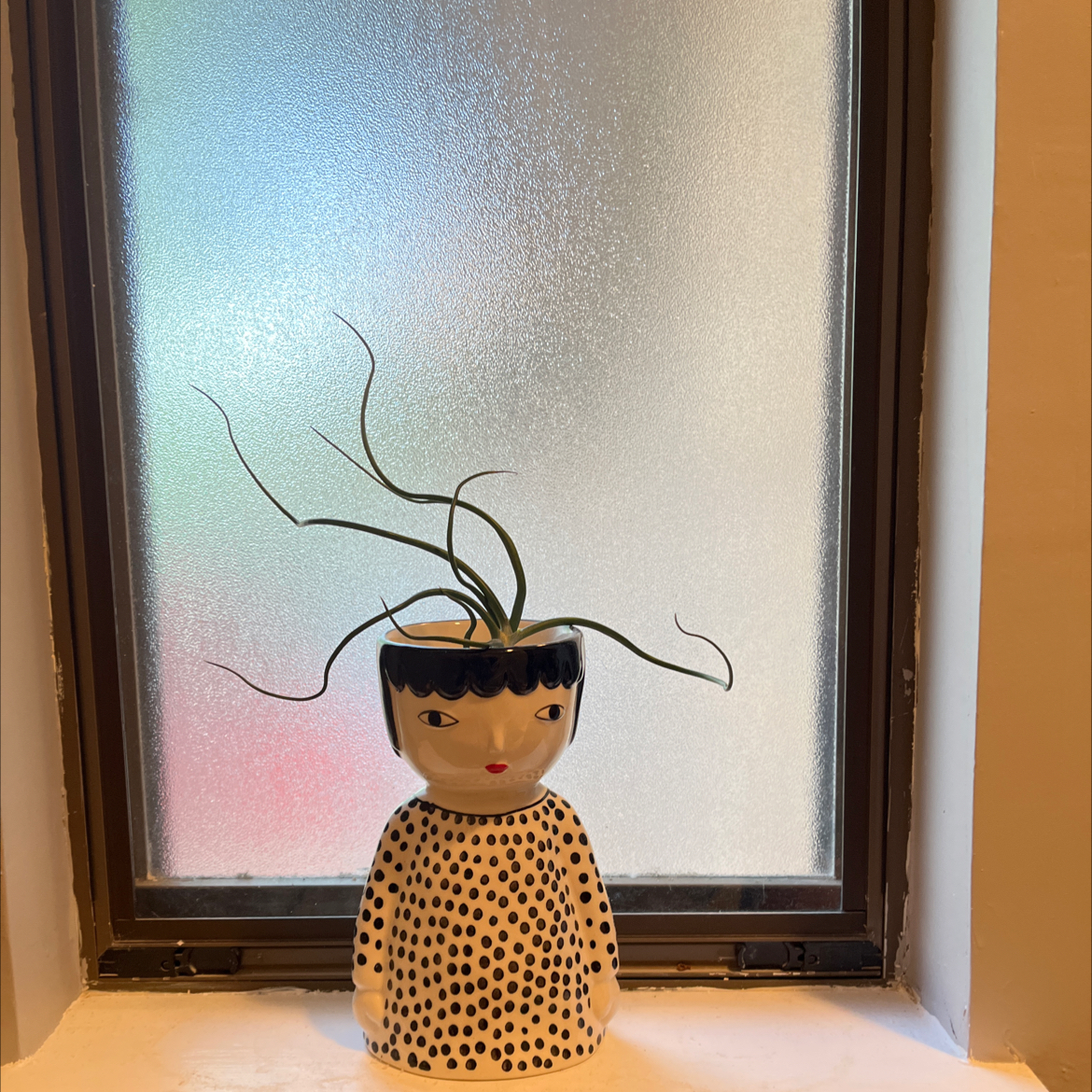 Bulbosa Air Plant in a decorative human-shaped pot on a windowsill.