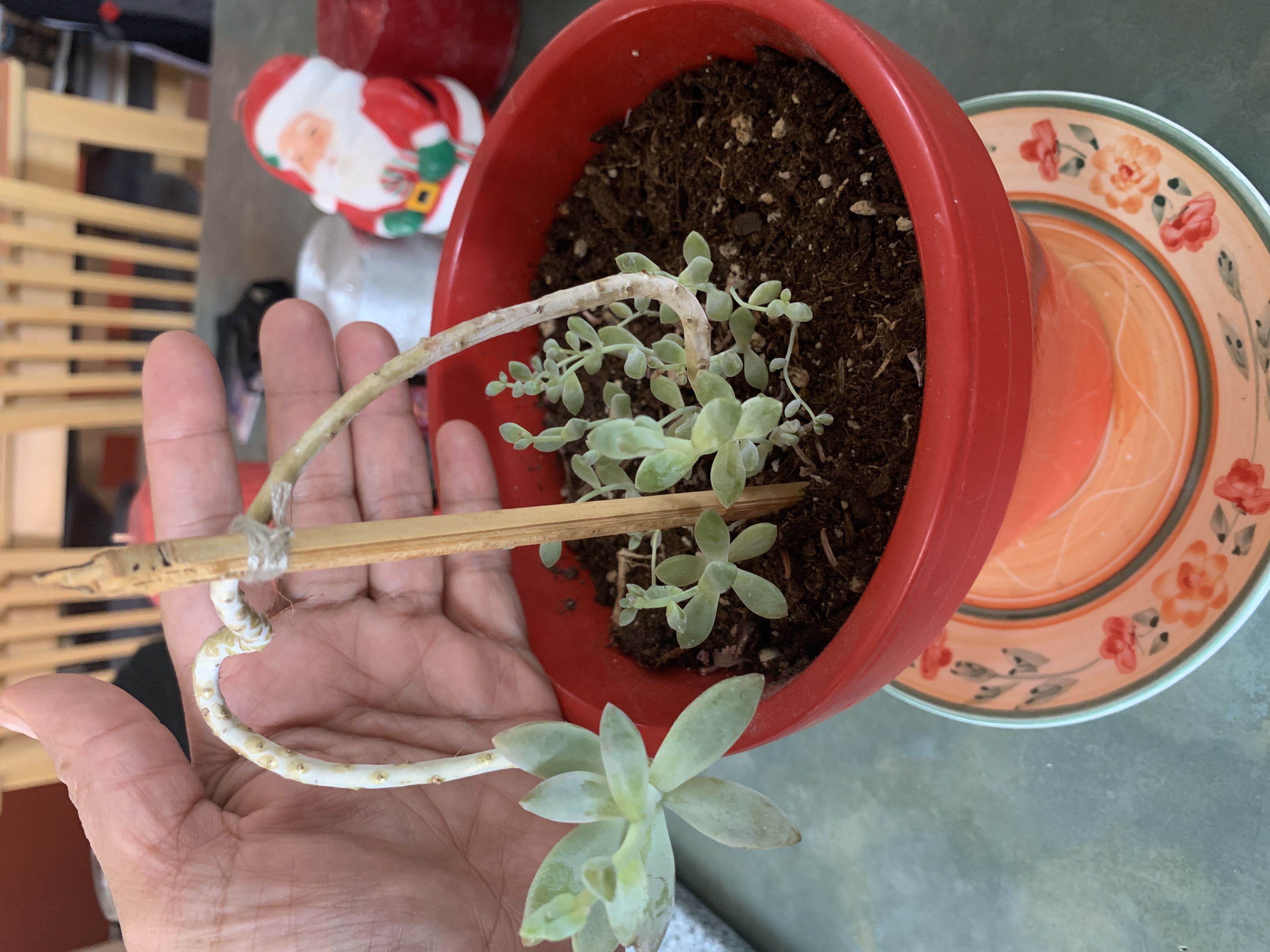 Photo from the post