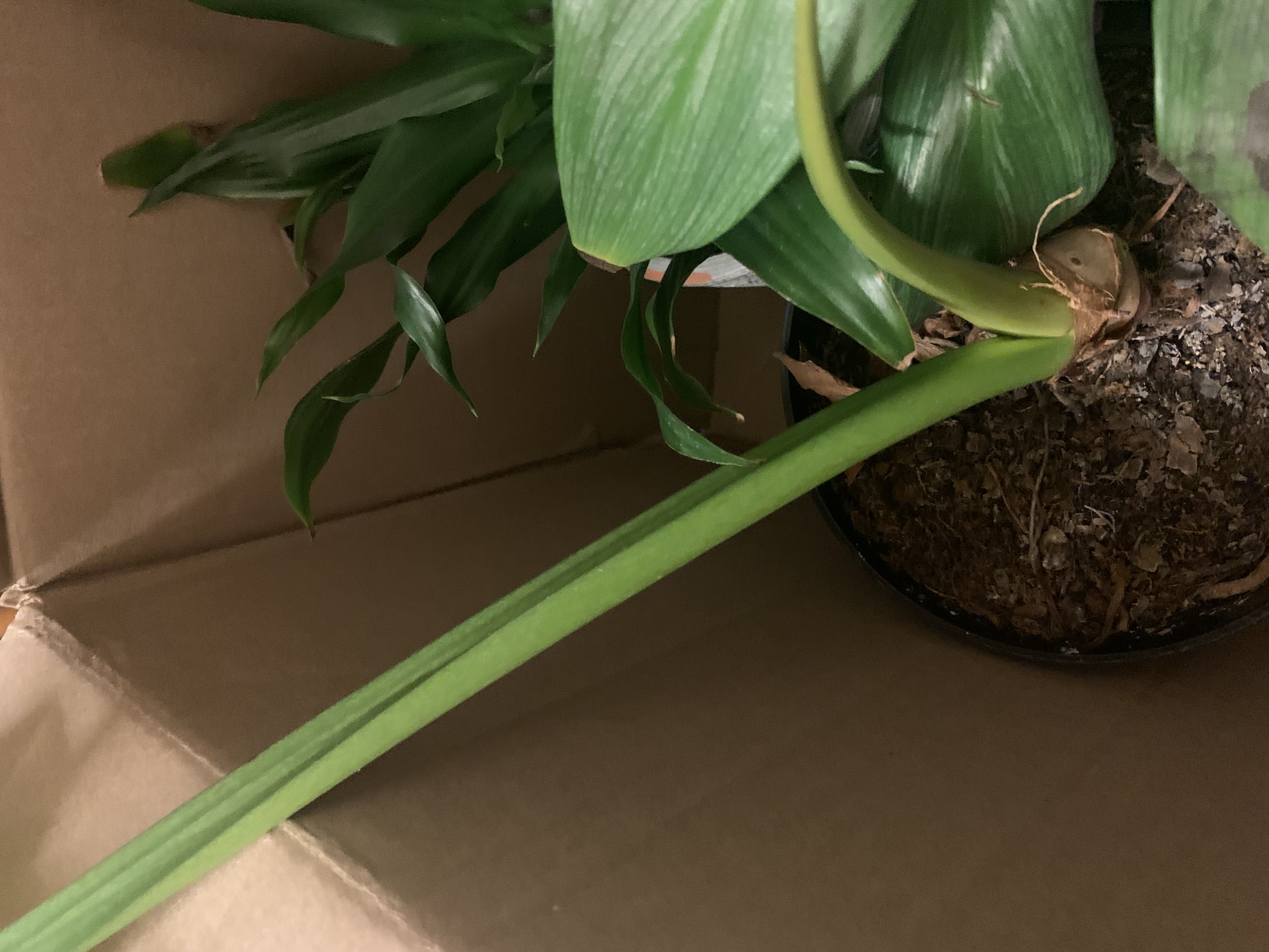Photo from the post