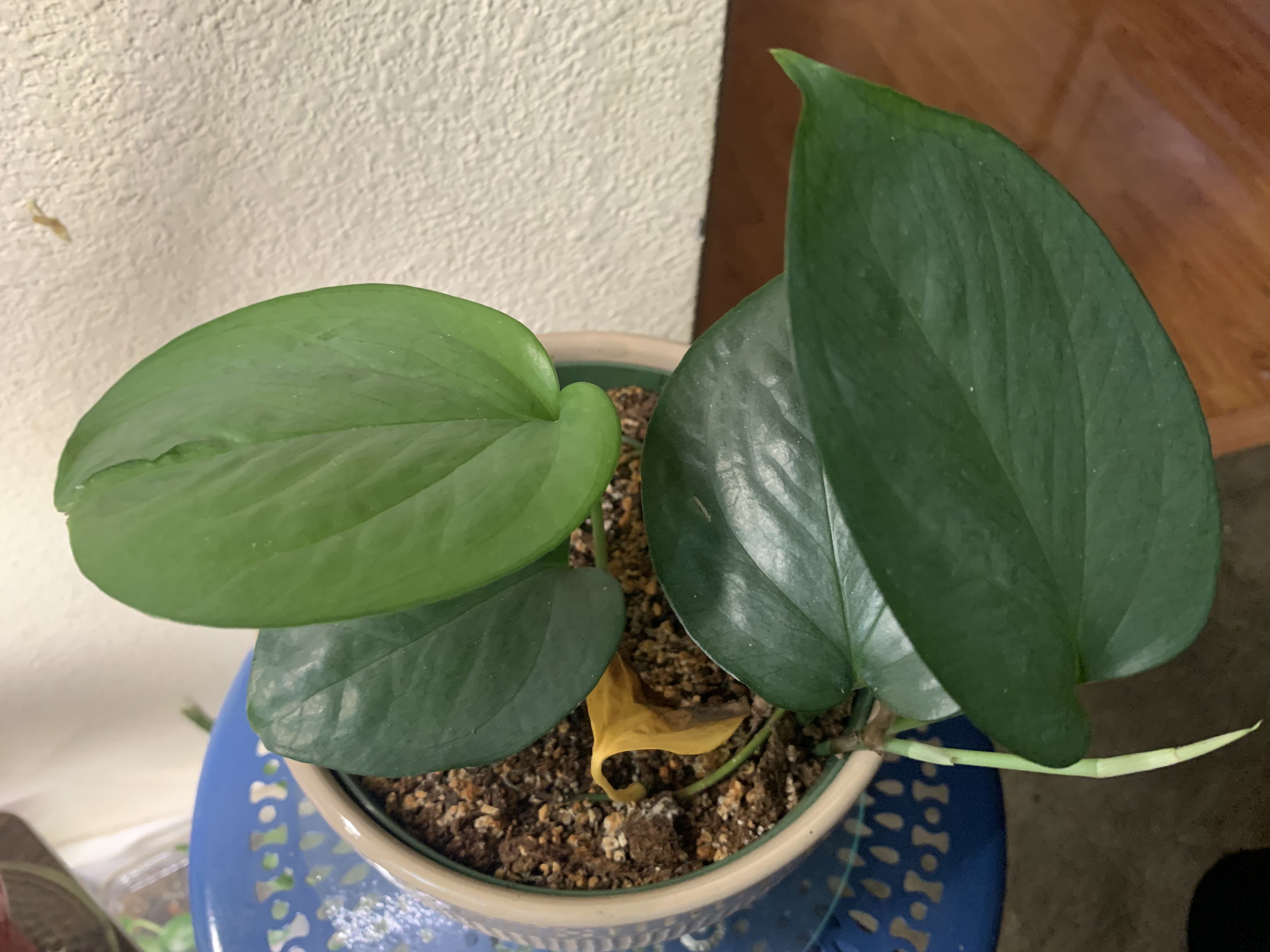 Photo from the post