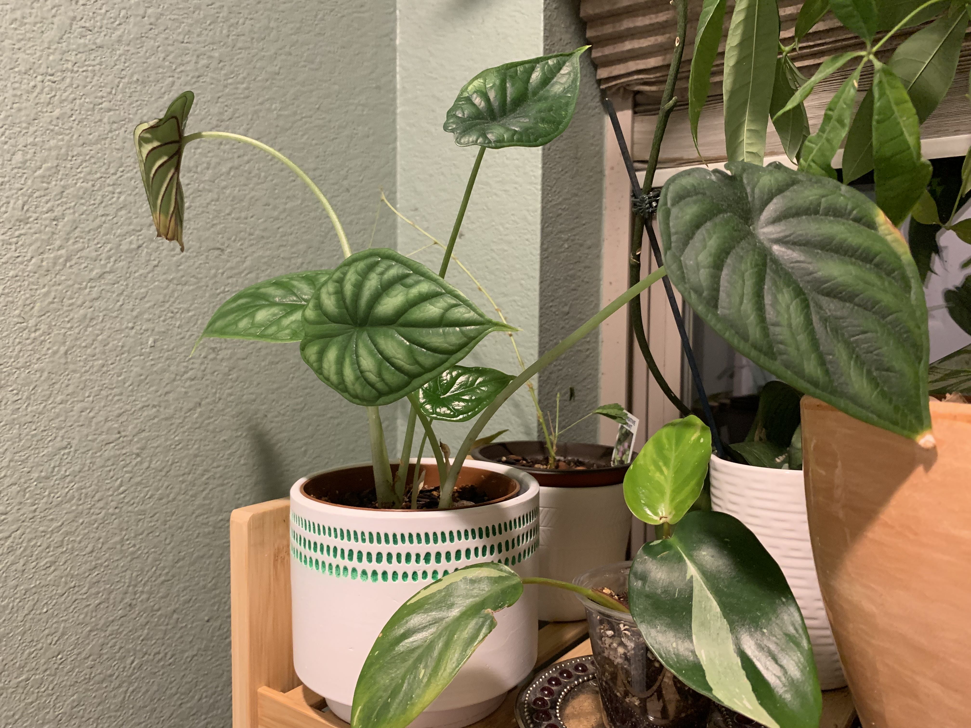 Photo from the post