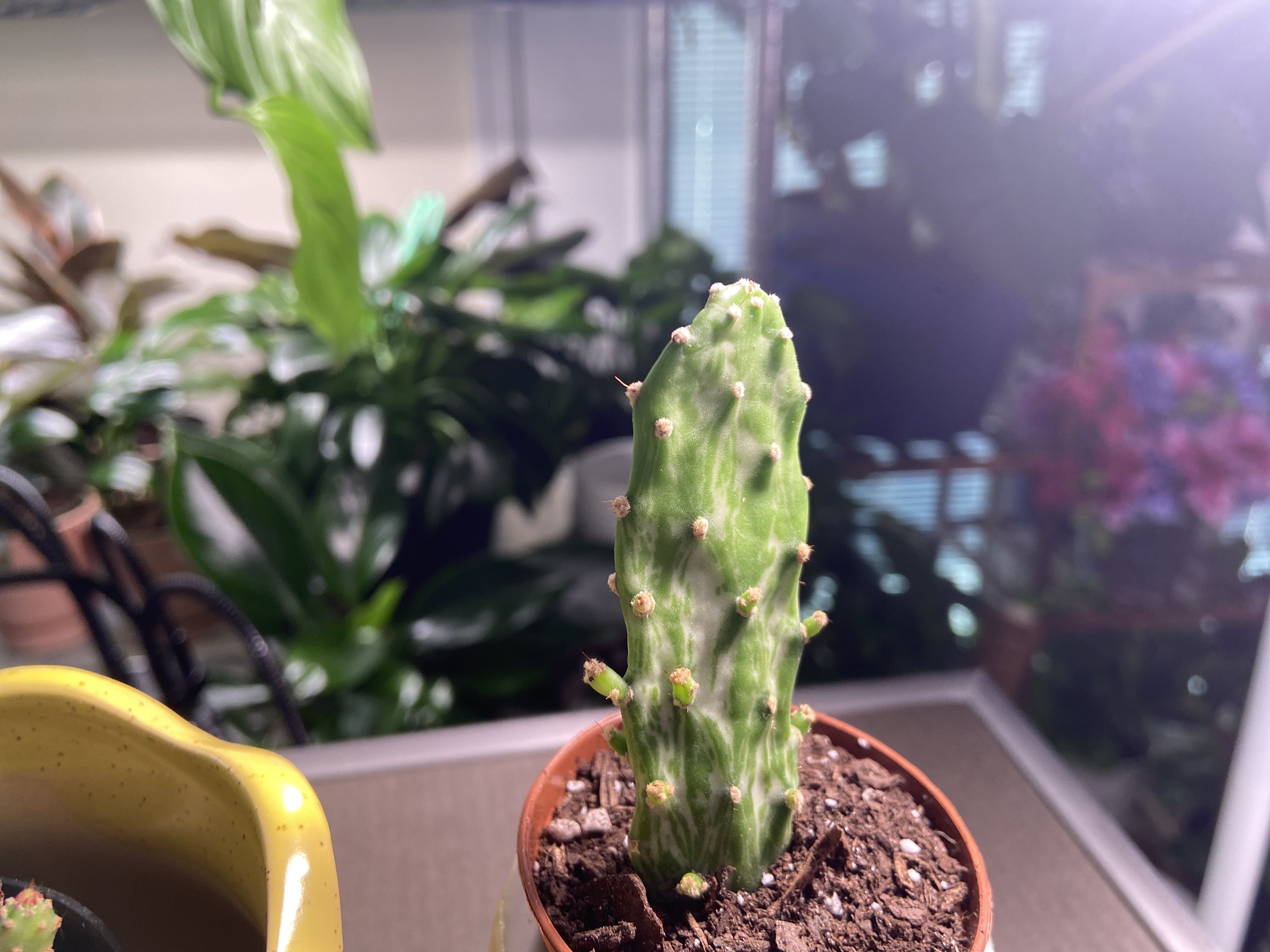 Photo from the post