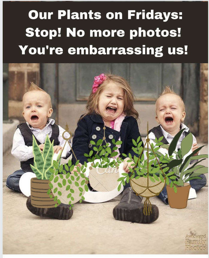 Photo from the post