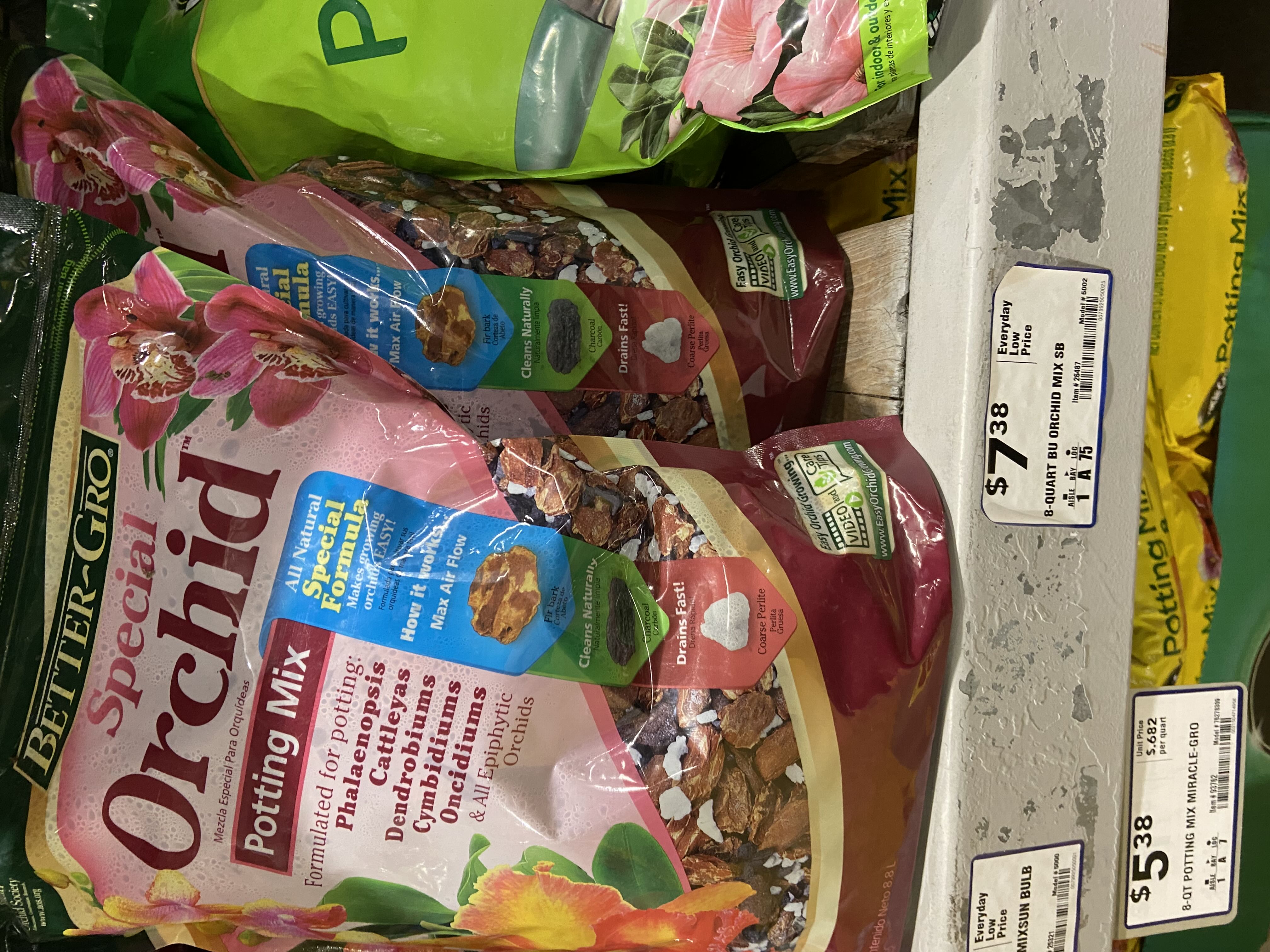 Photo from the post