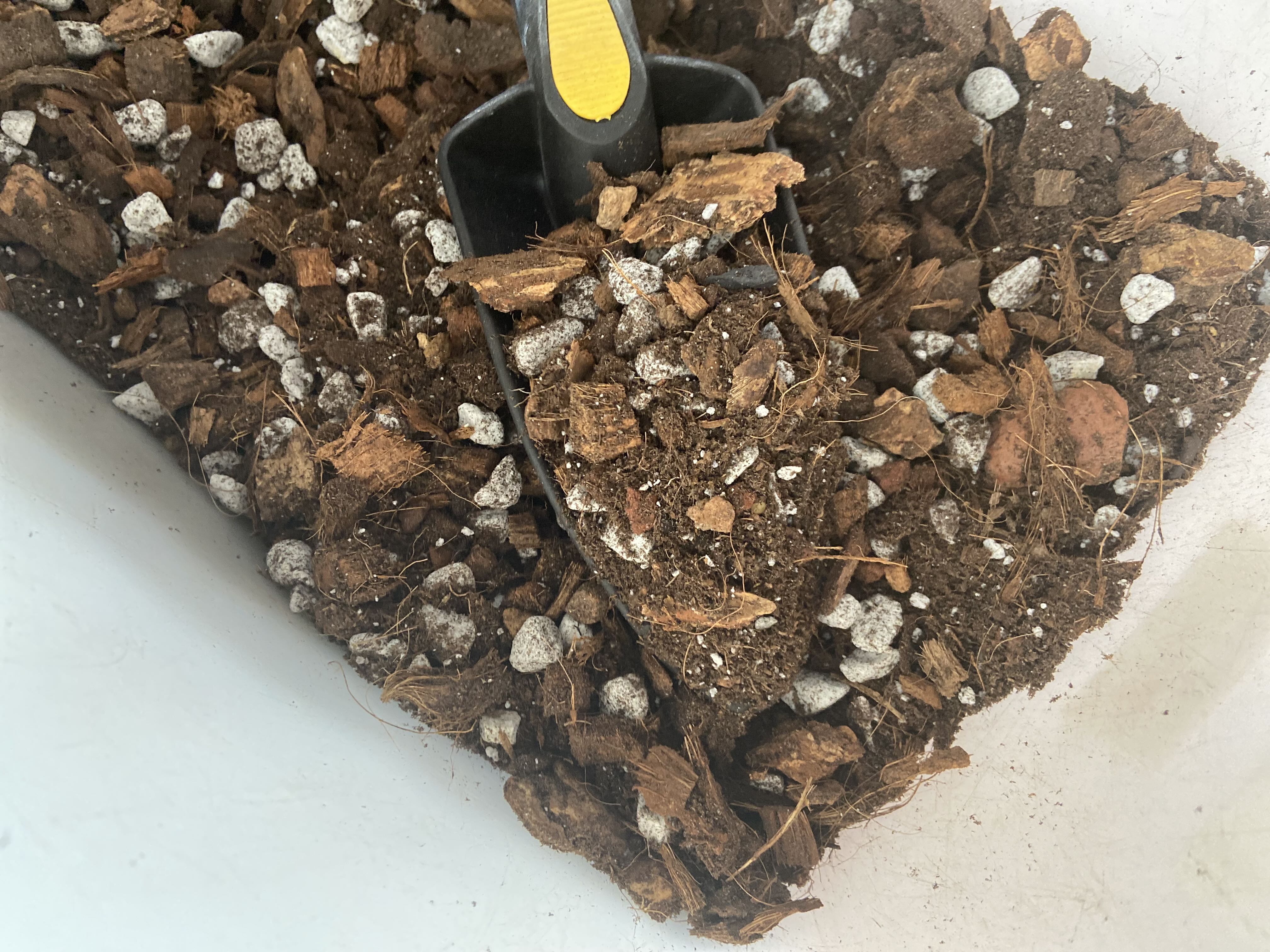 Photo from the post