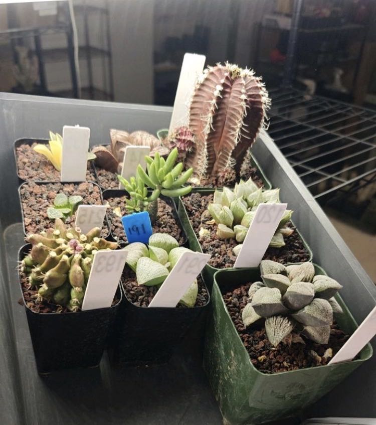 Photo from the post