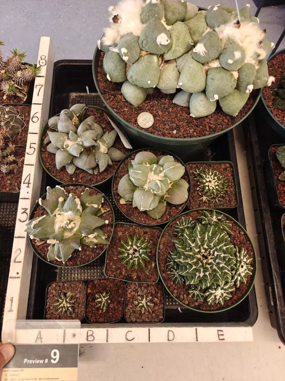 Photo from the post