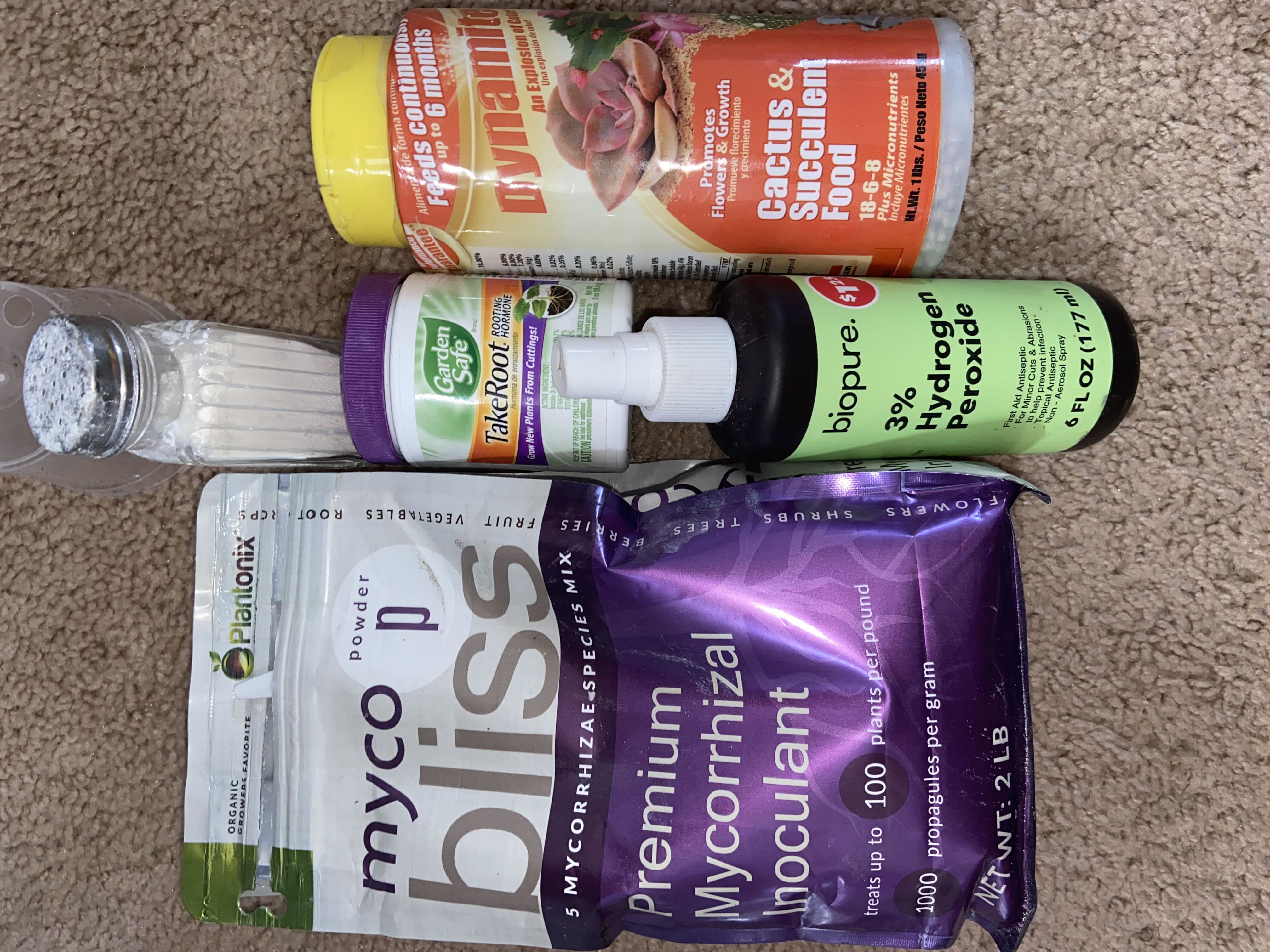 Photo from the post