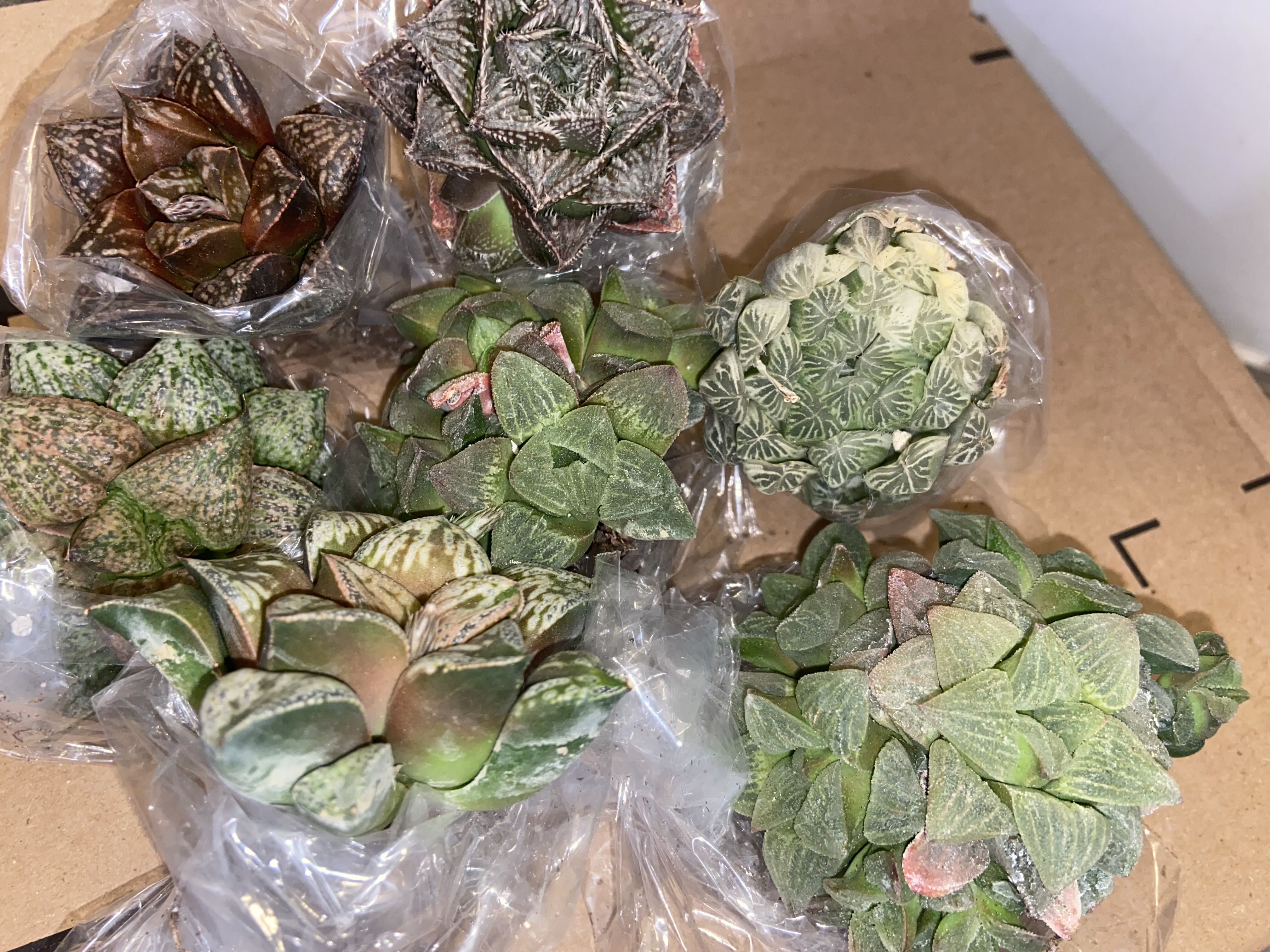 Photo from the post
