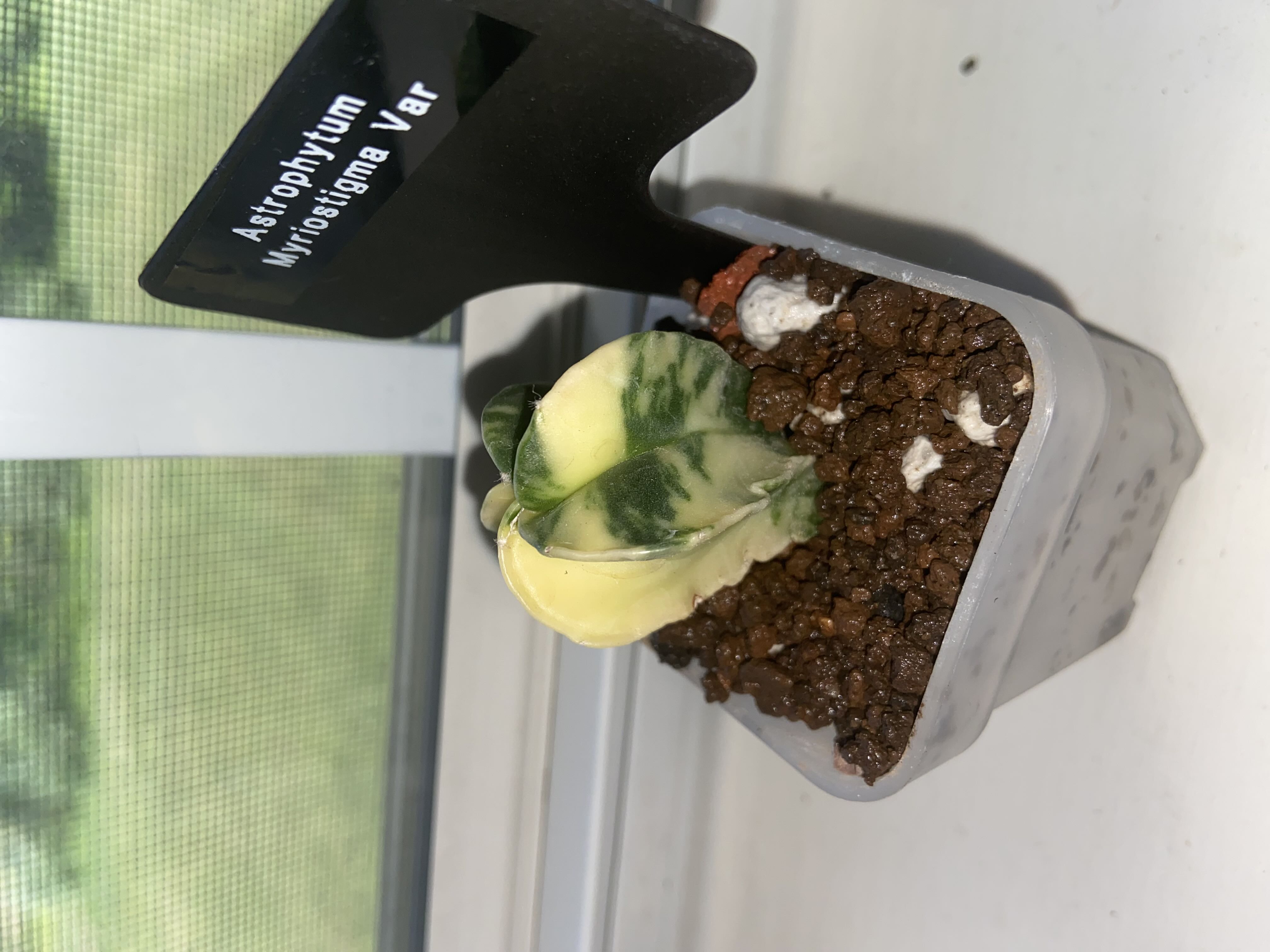 Photo from the post