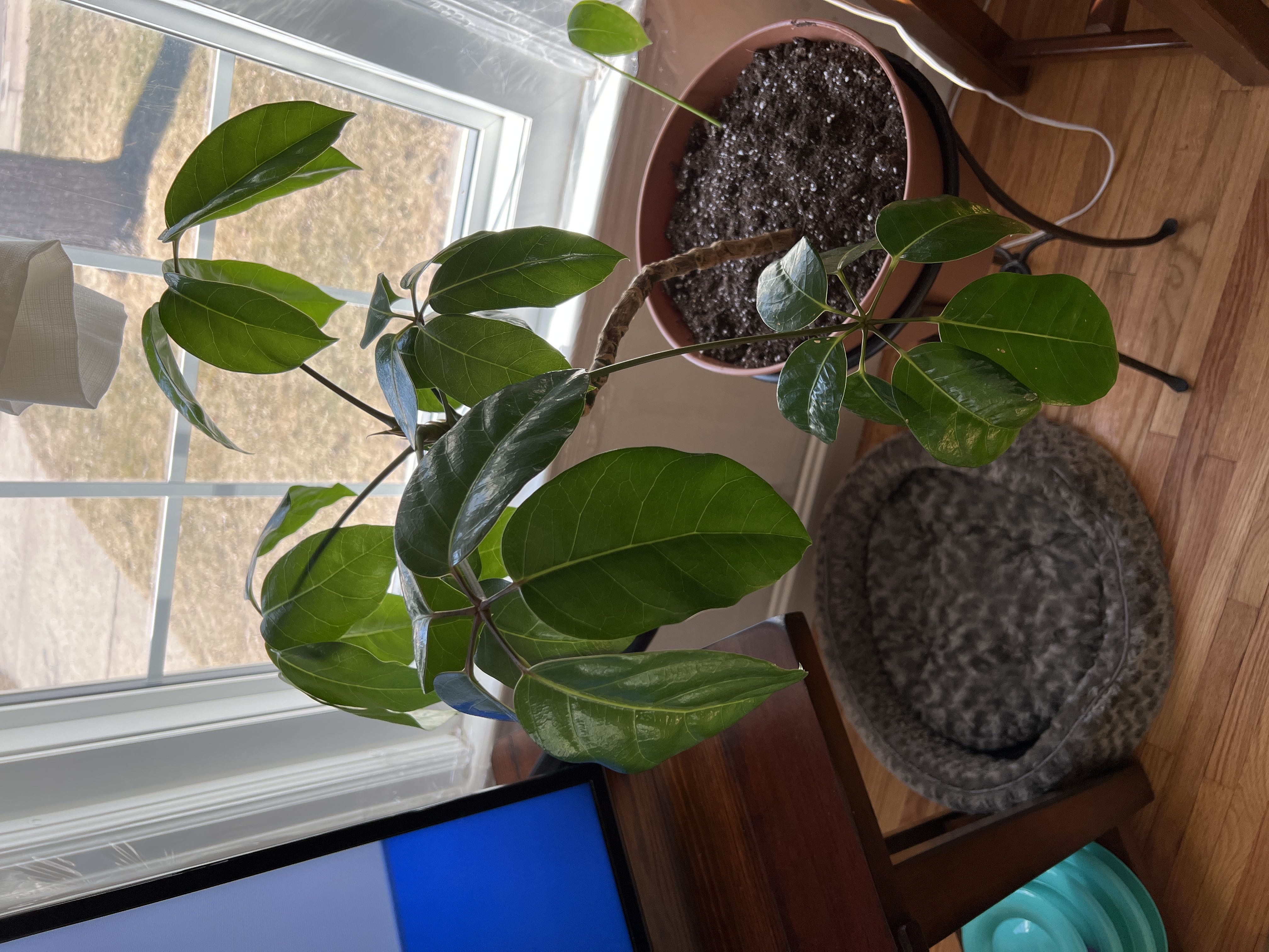 Photo from the post