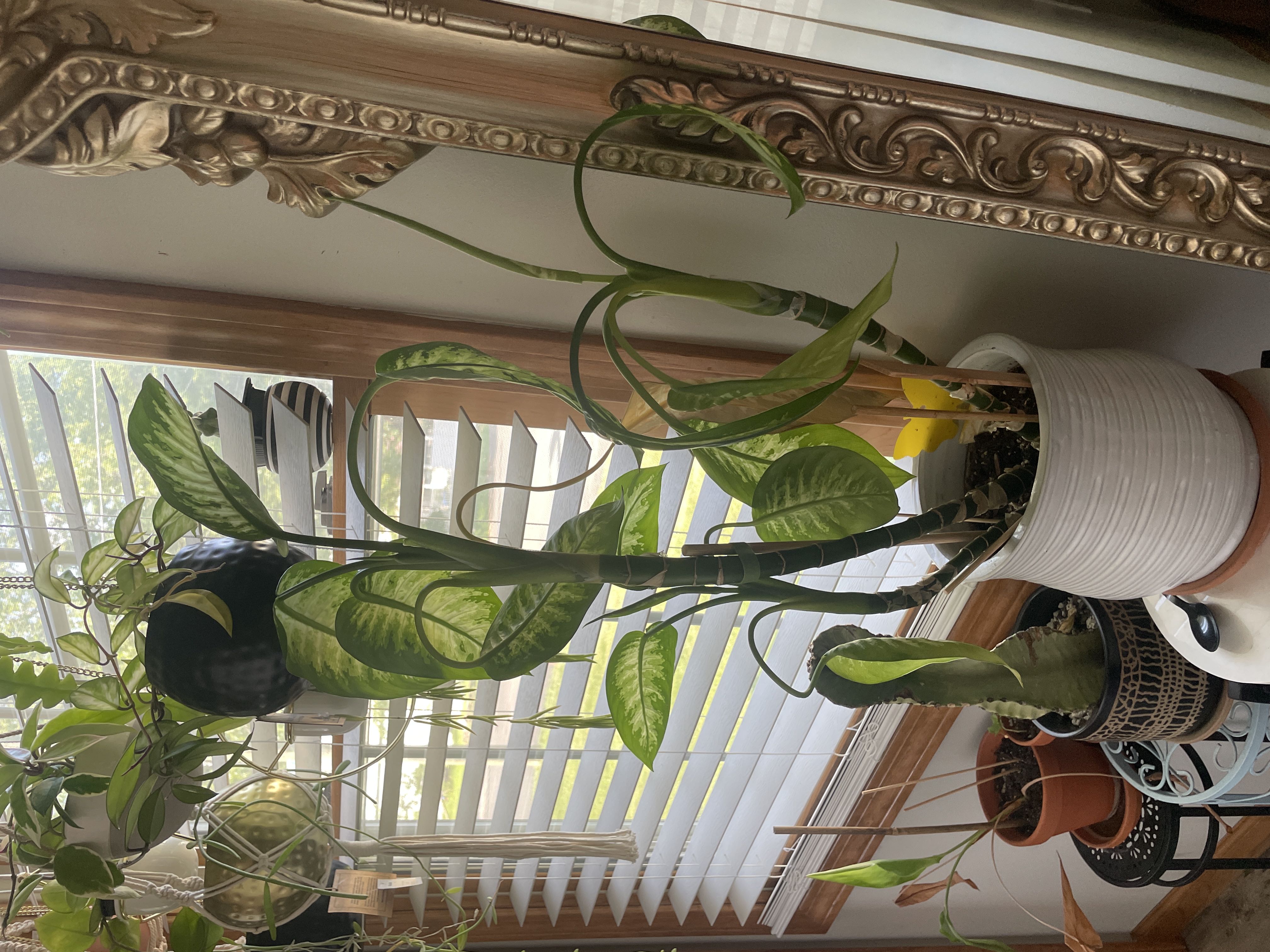 Photo from the post