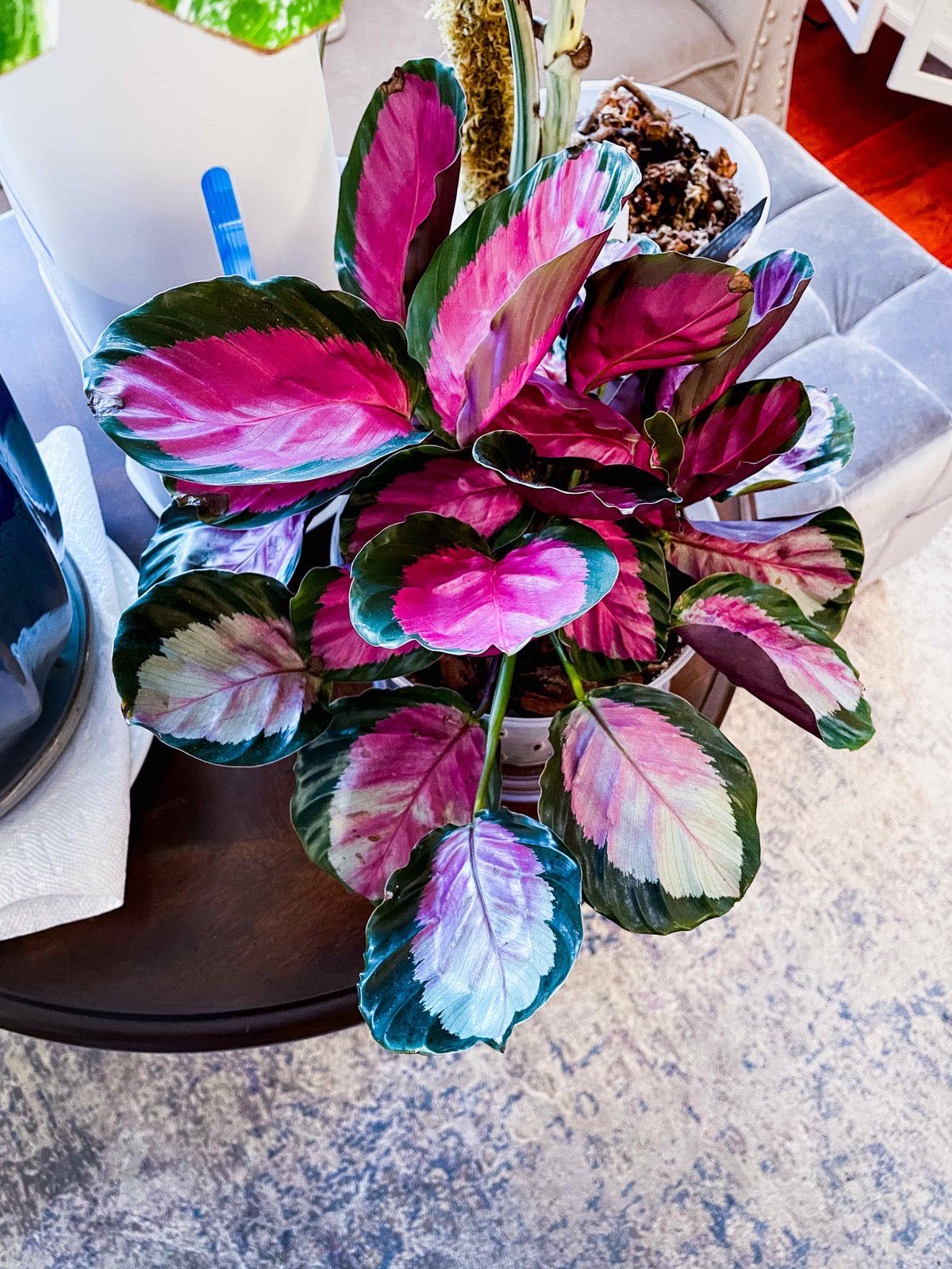 Photo from the post
