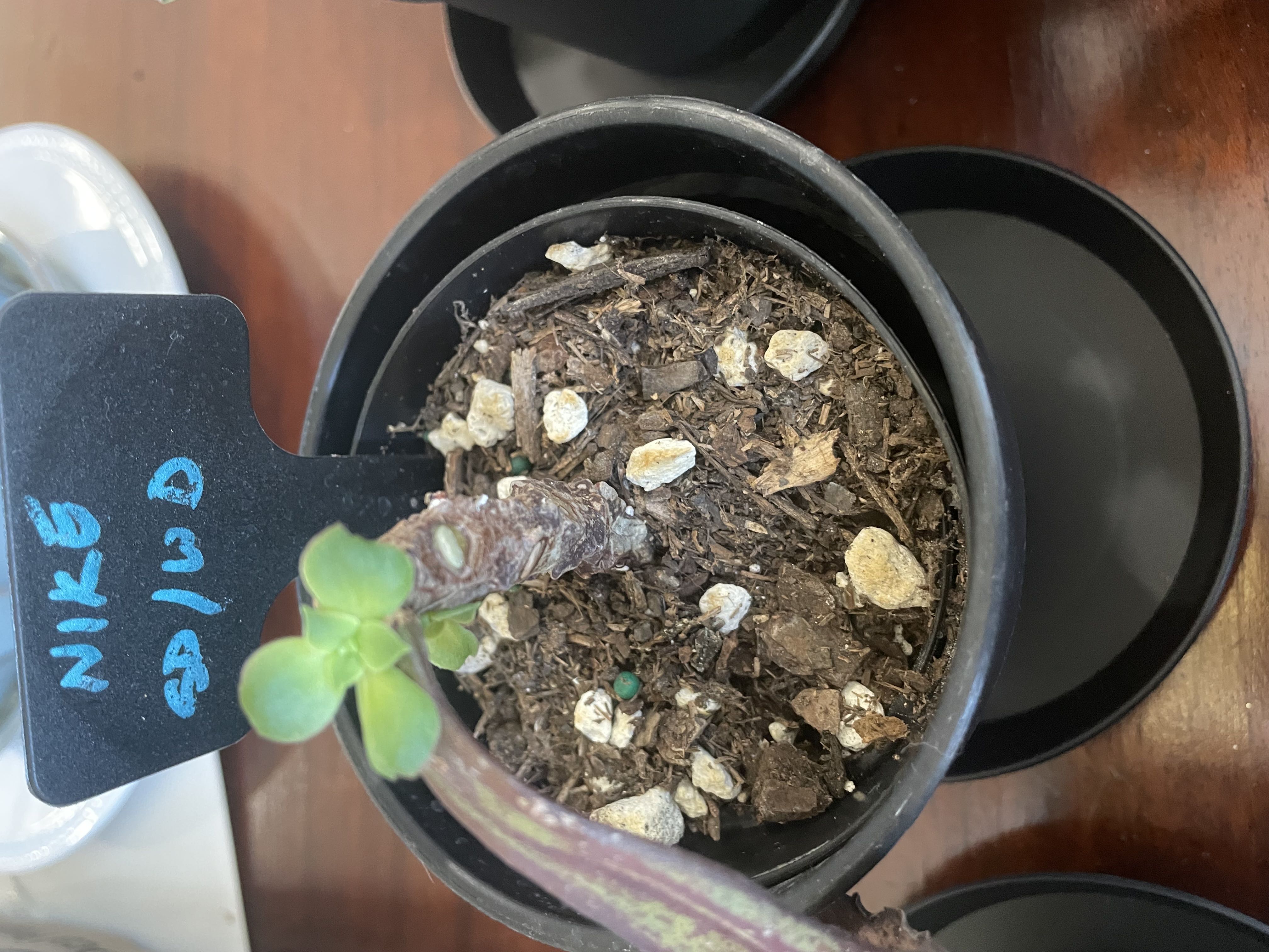 Photo from the post