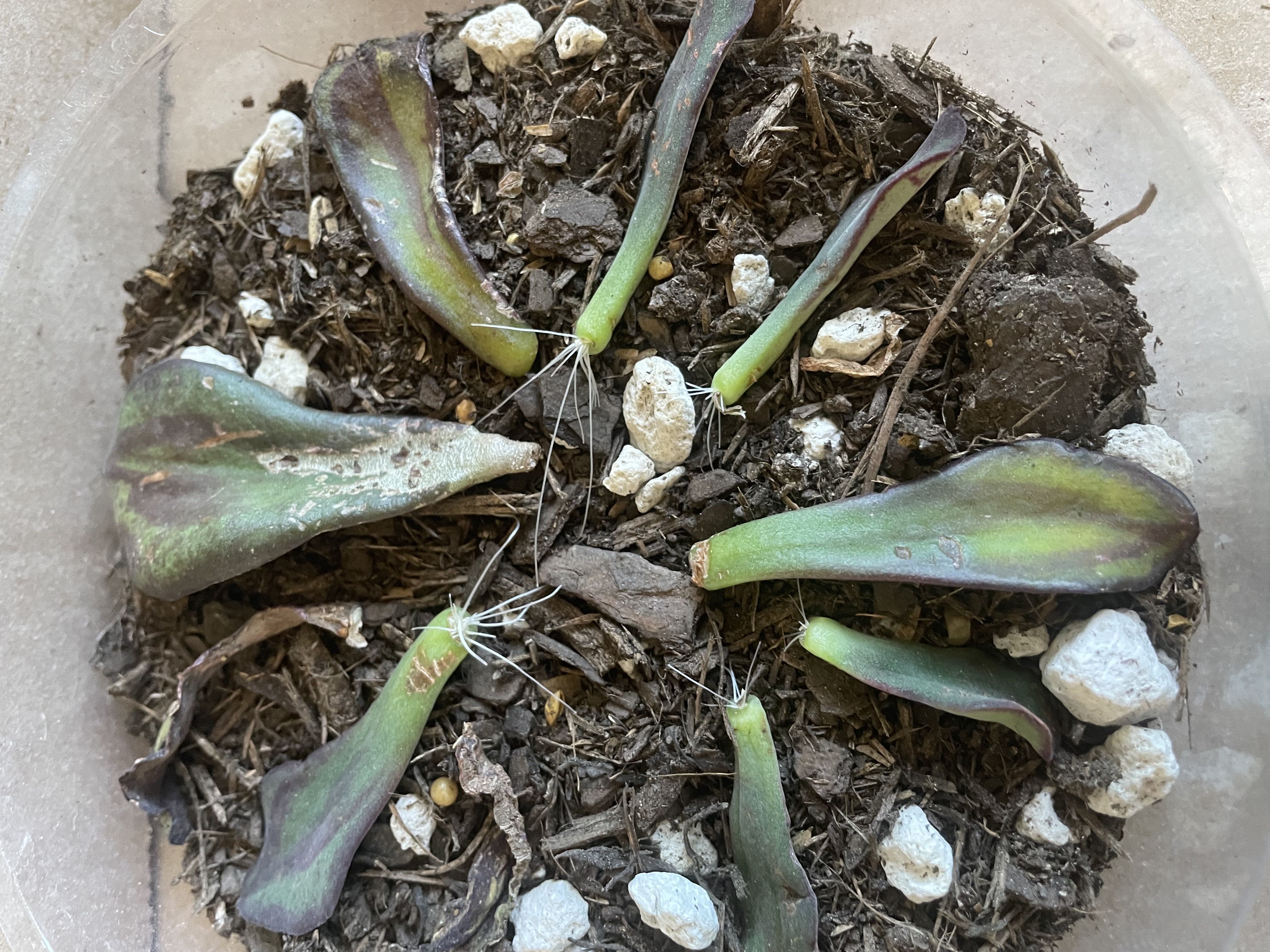 Photo from the post