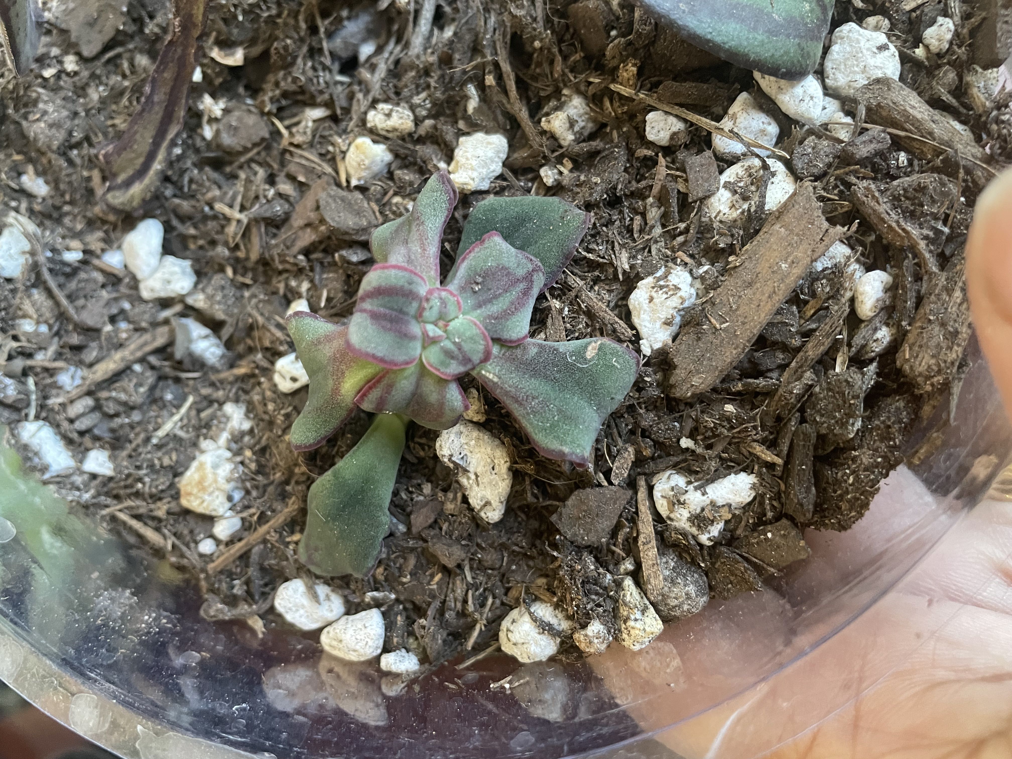 Photo from the post