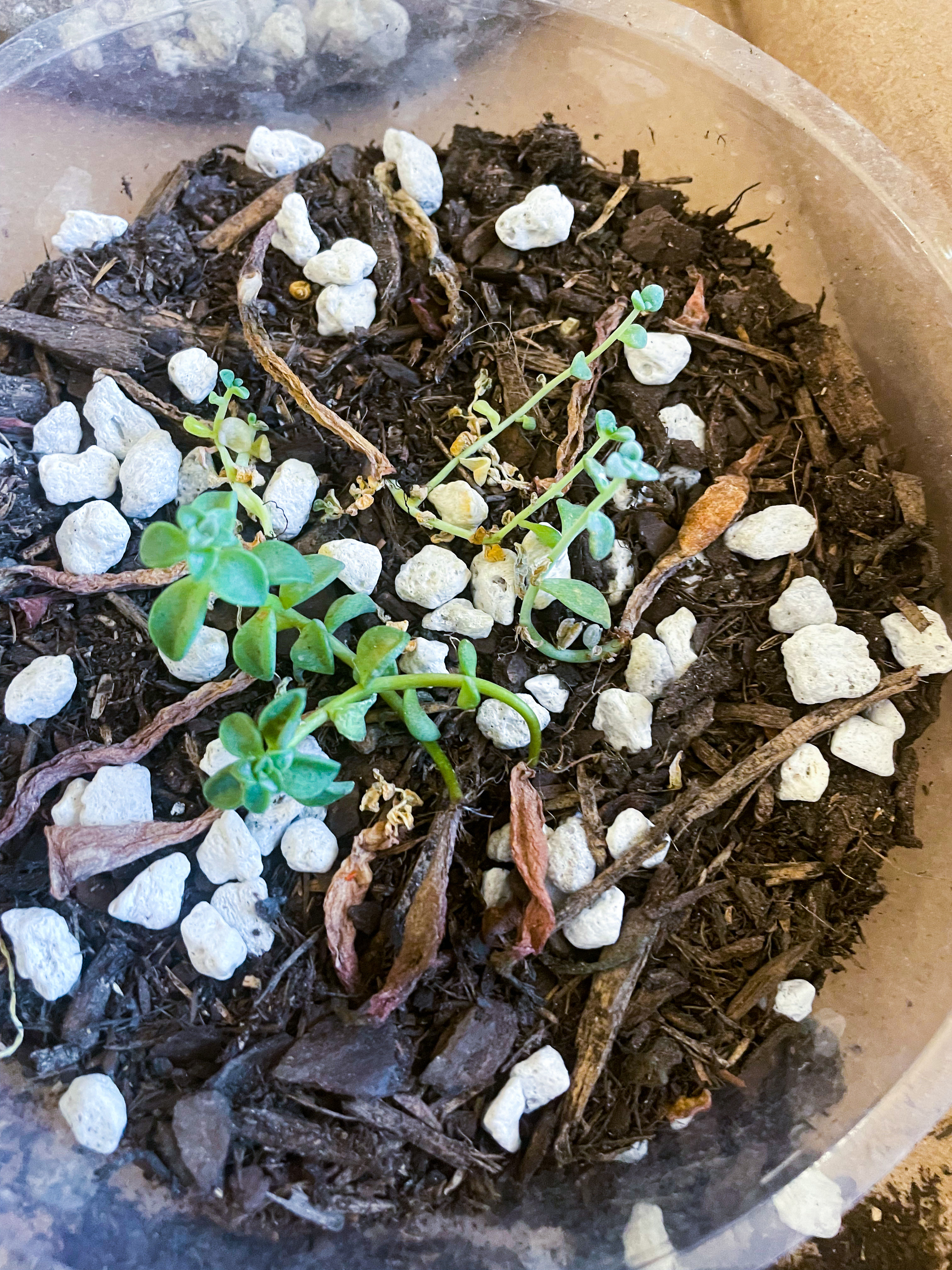 Photo from the post