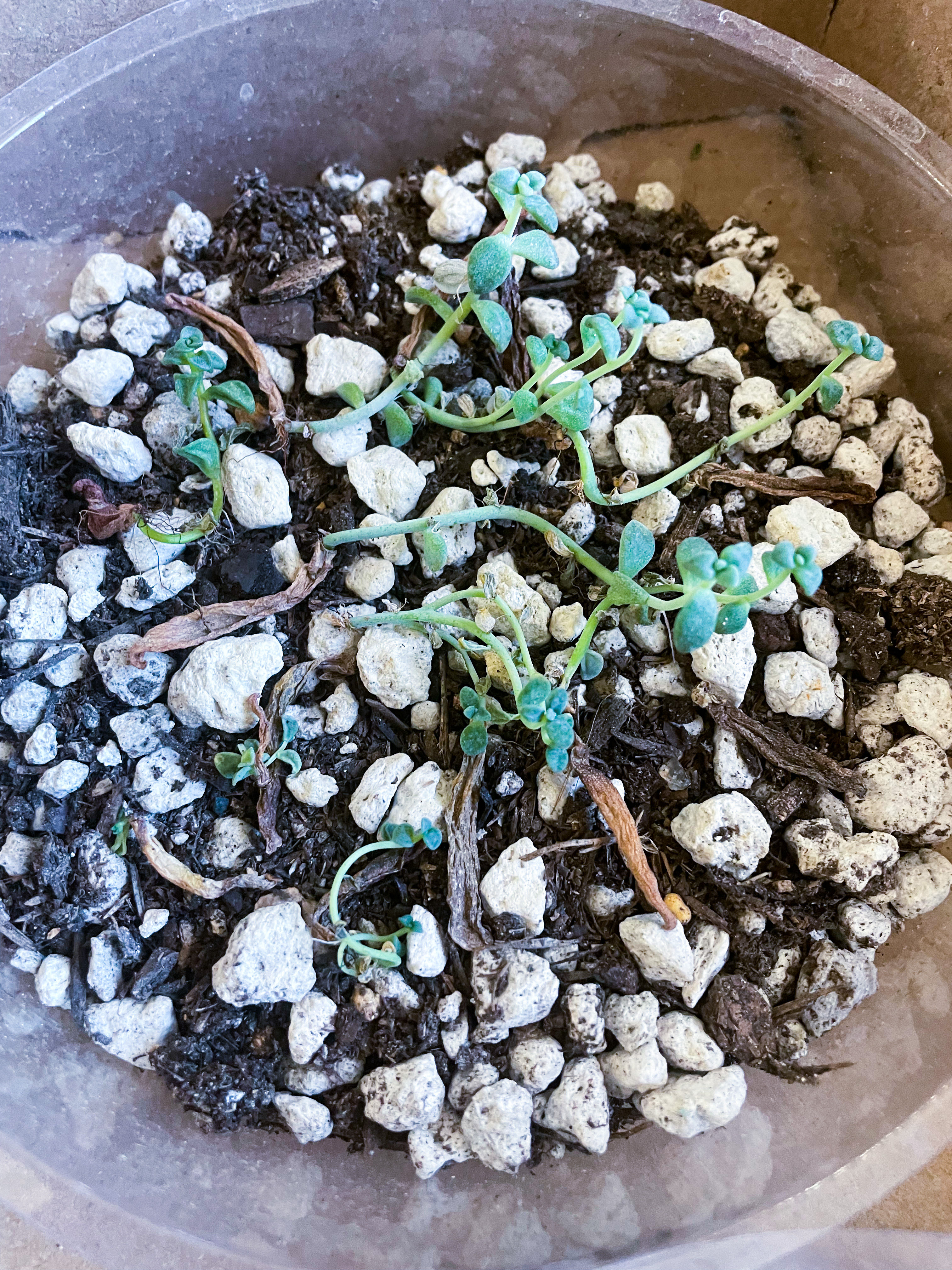 Photo from the post