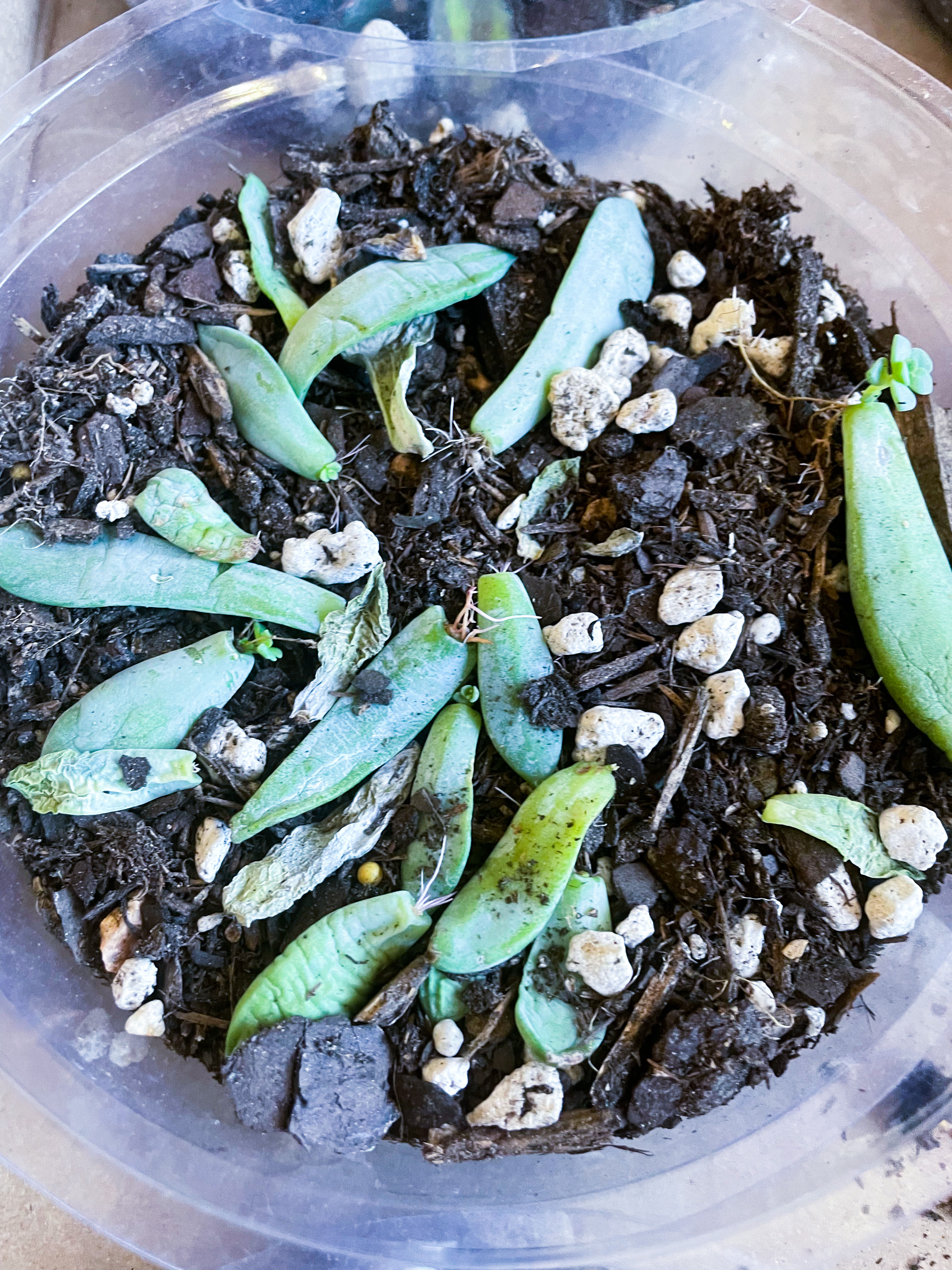 Photo from the post