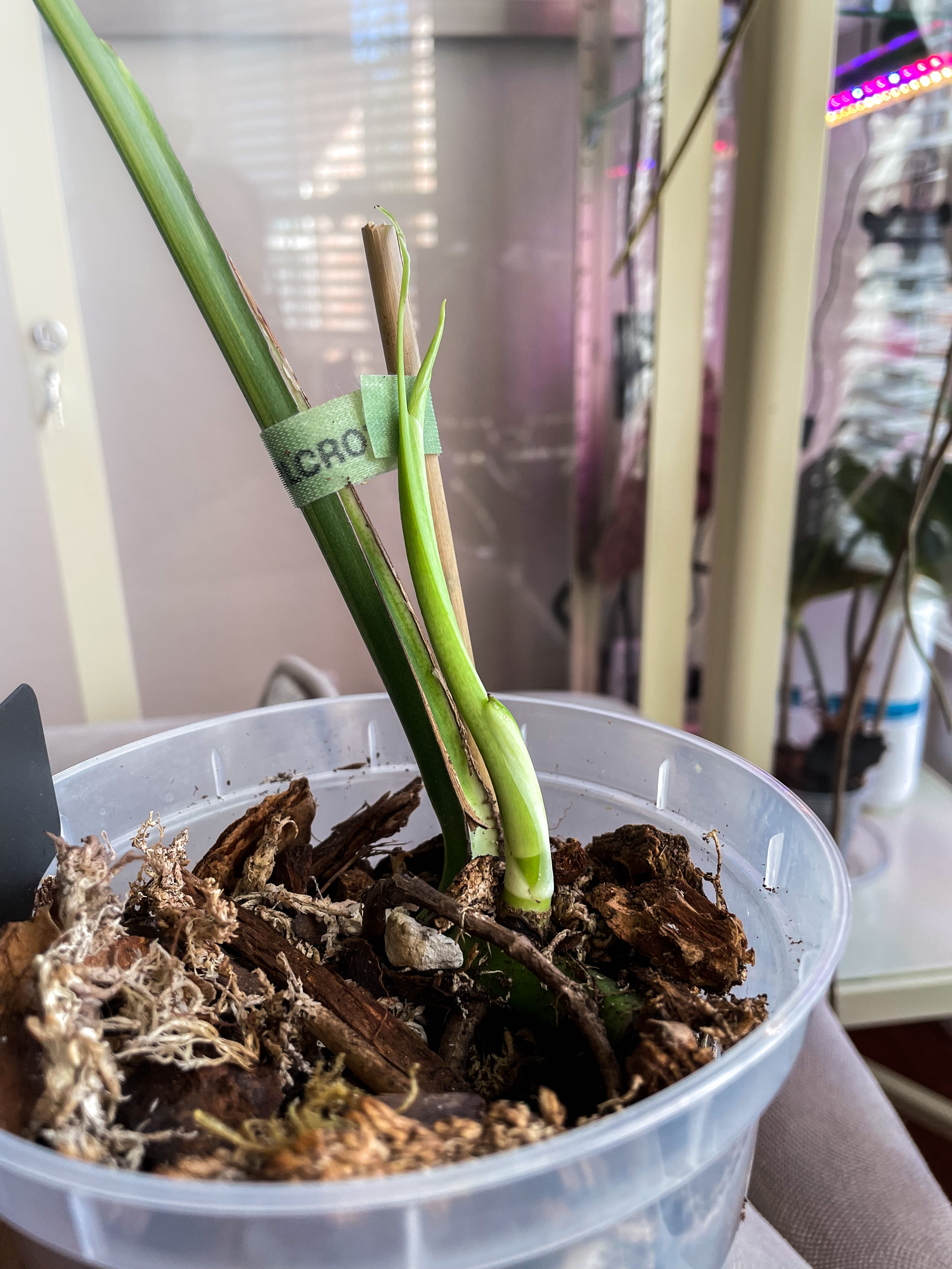 Photo from the post