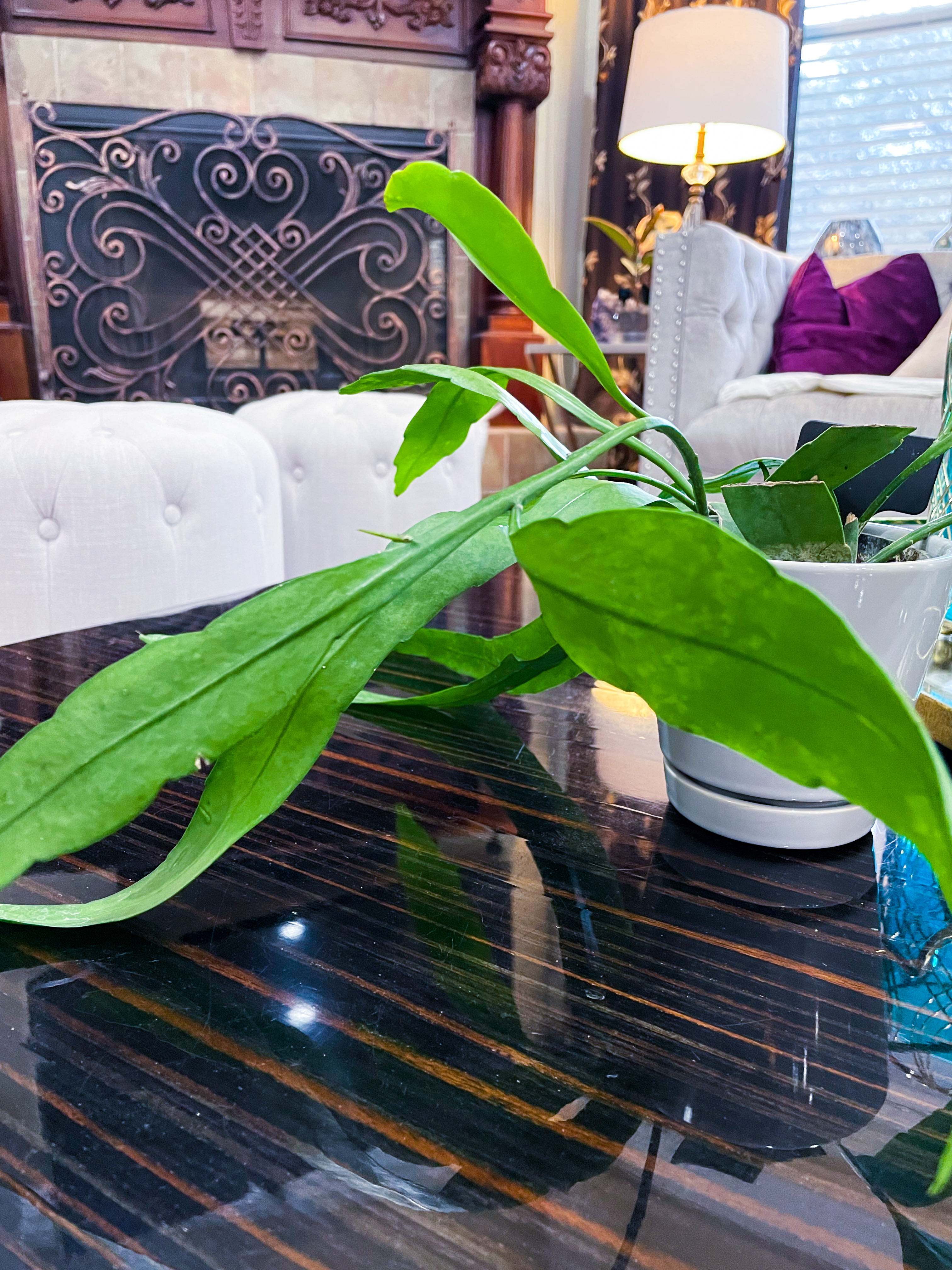 Photo from the post
