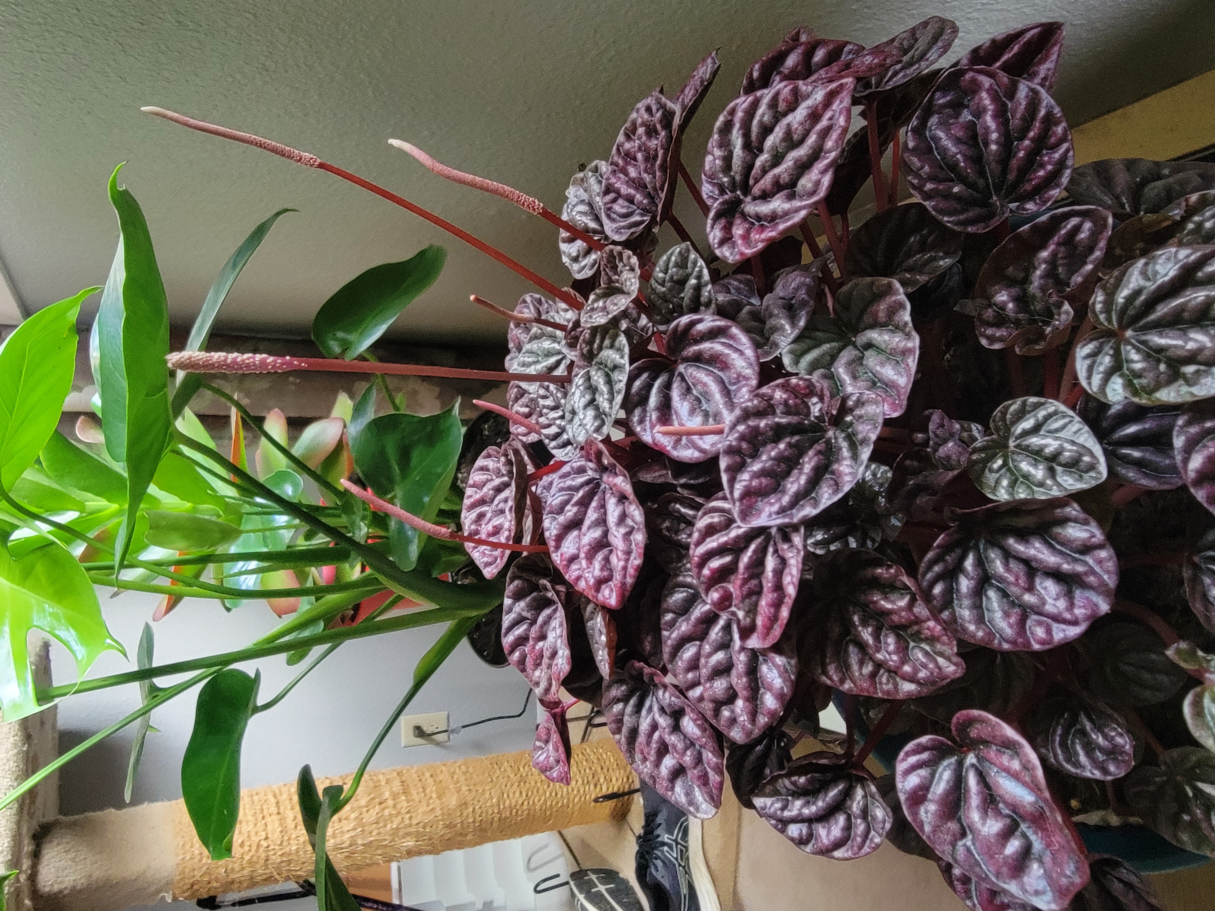 Photo from the post