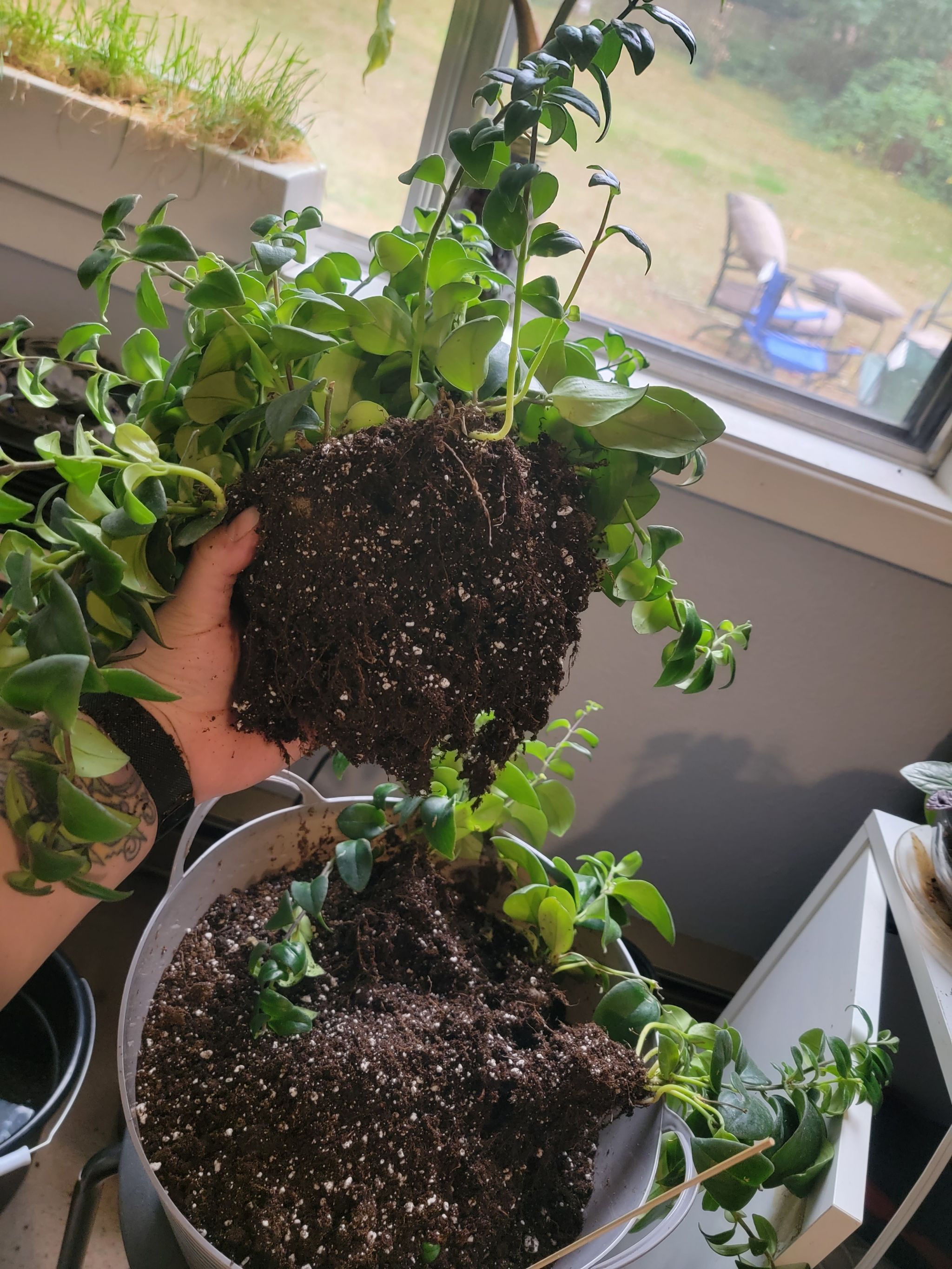 Photo from the post