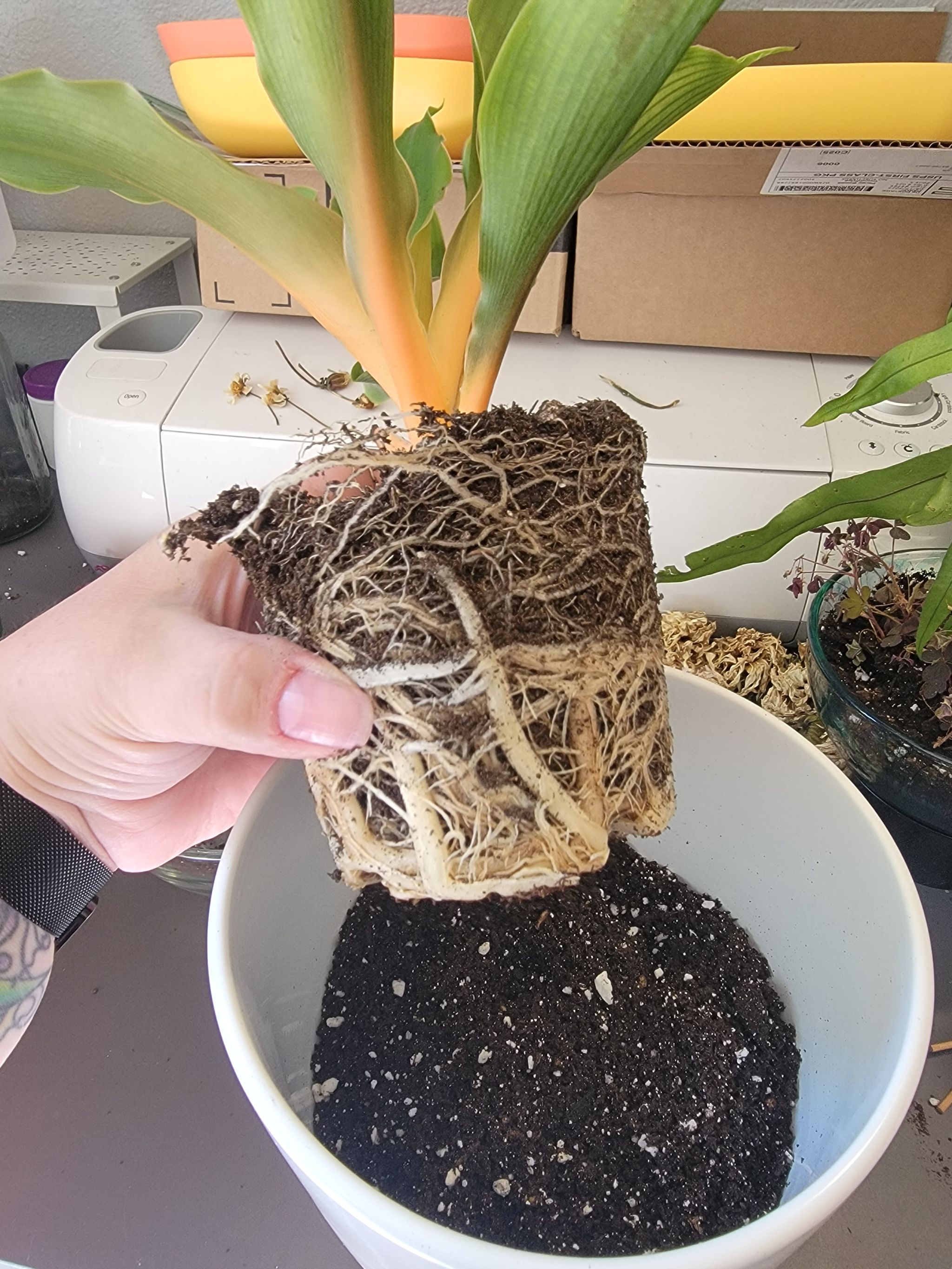 Photo from the post