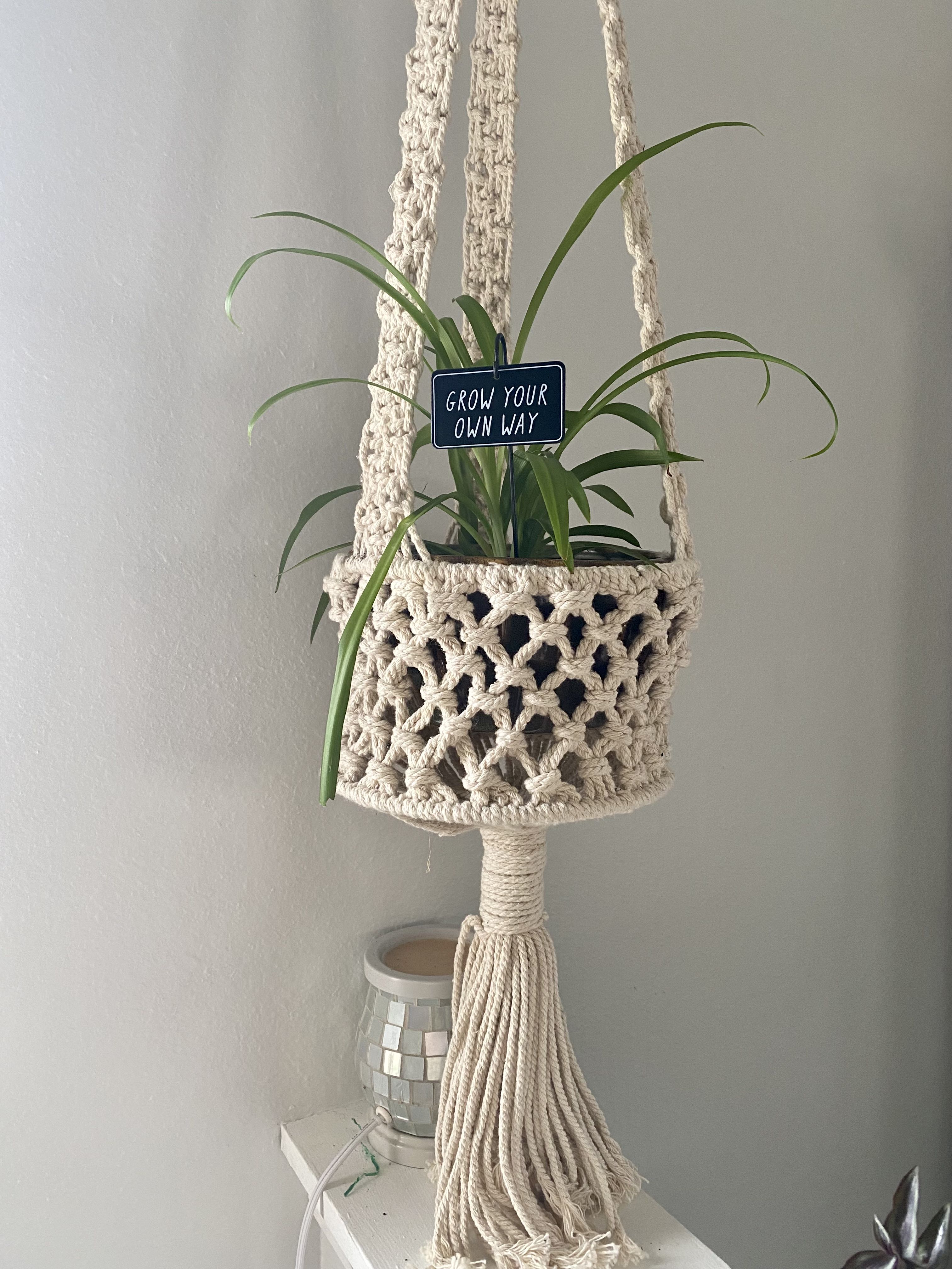 Photo from the post