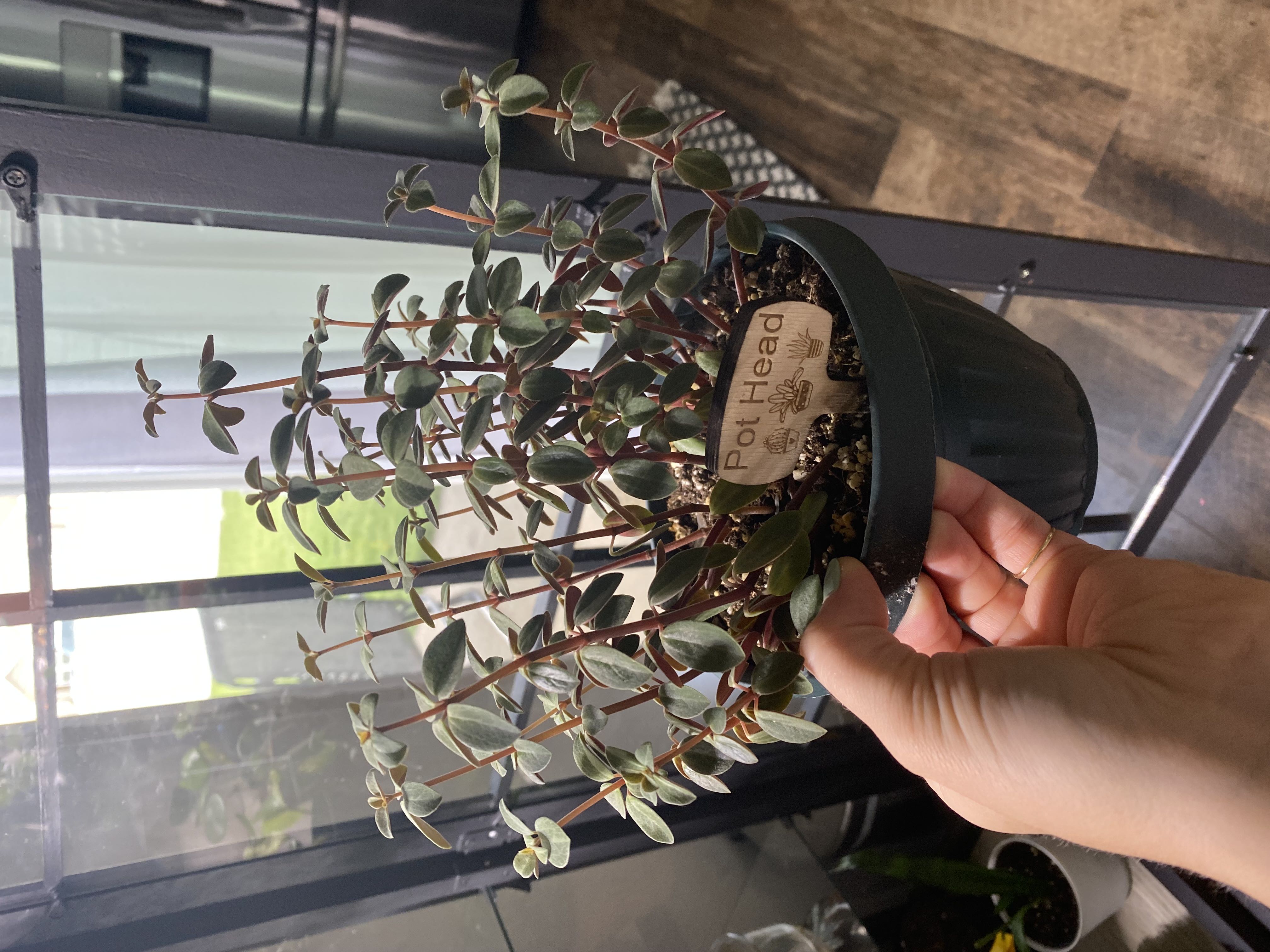Photo from the post