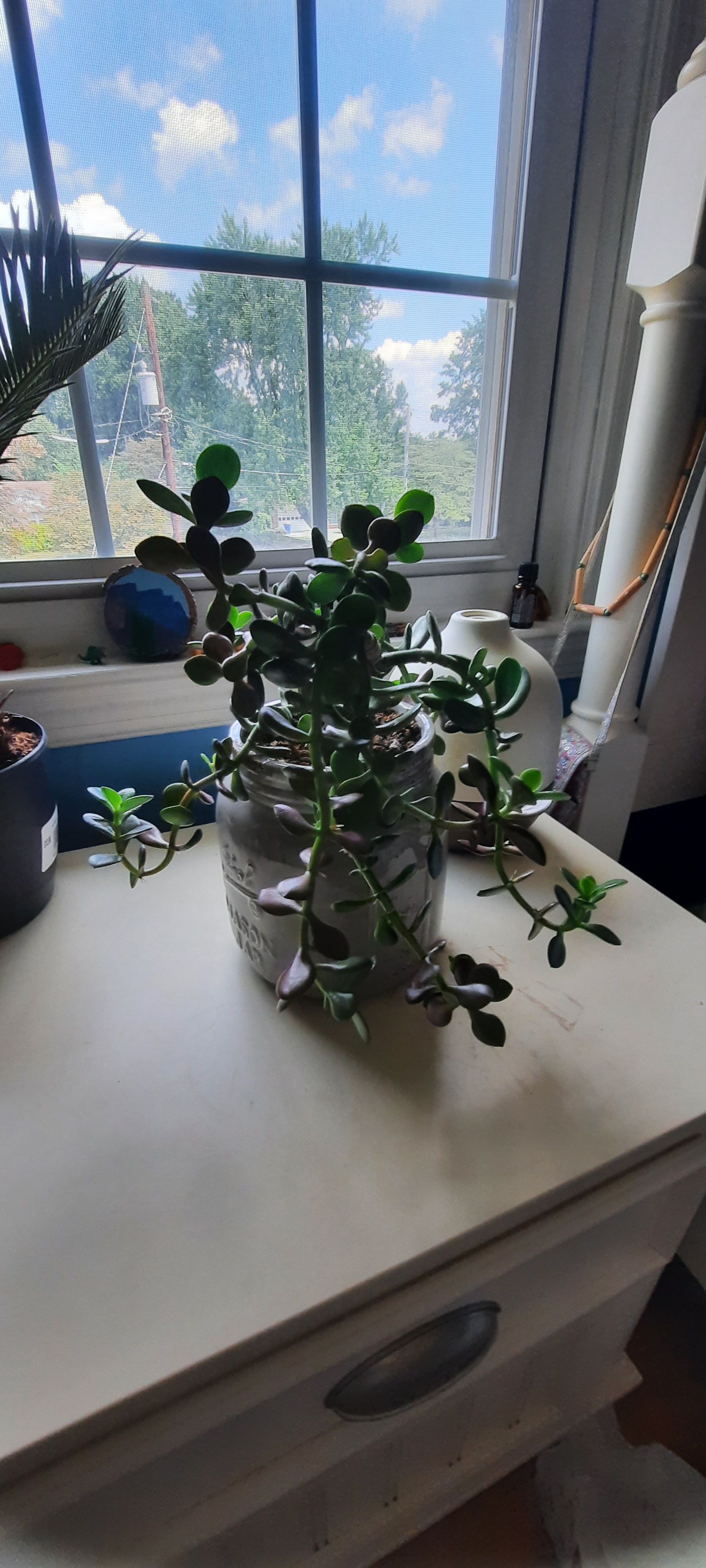 Photo from the post