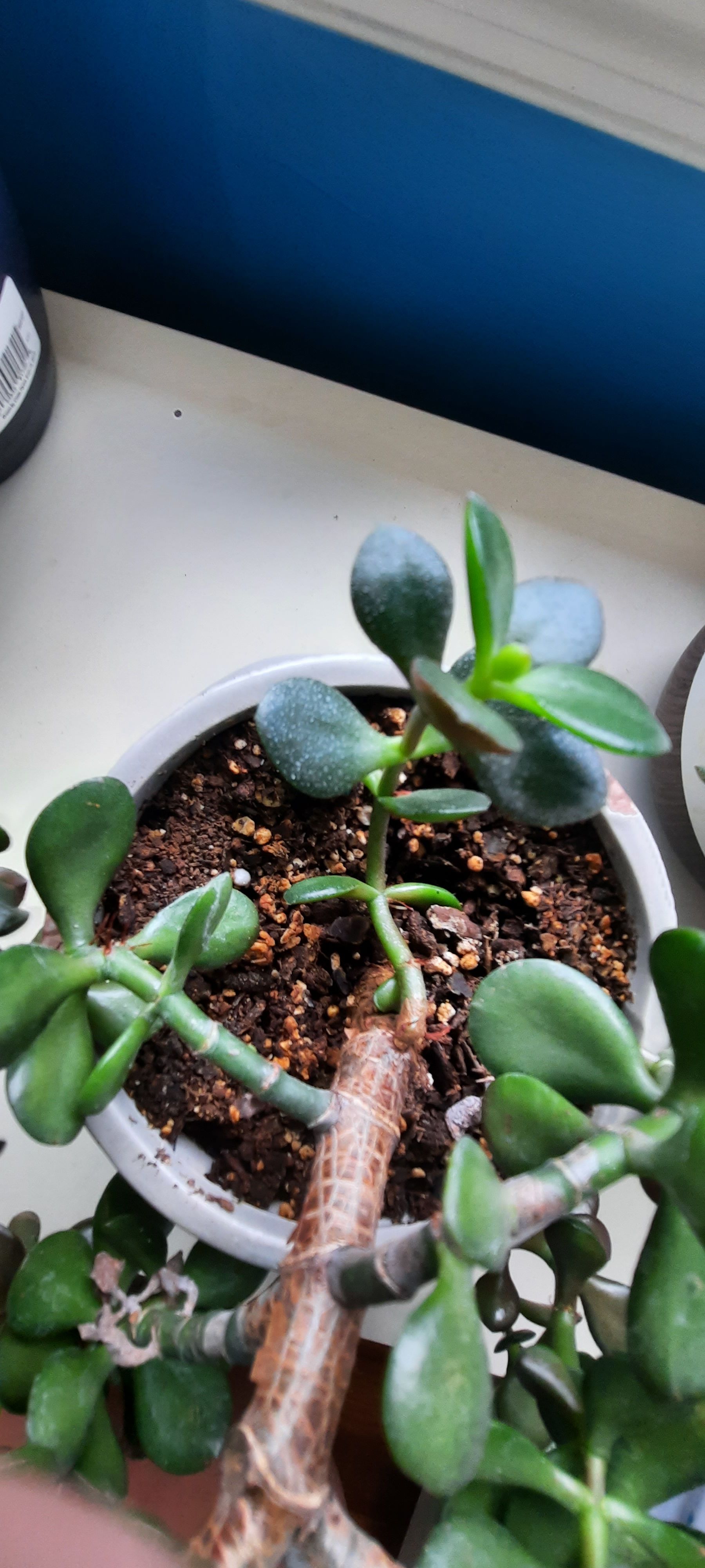 Photo from the post