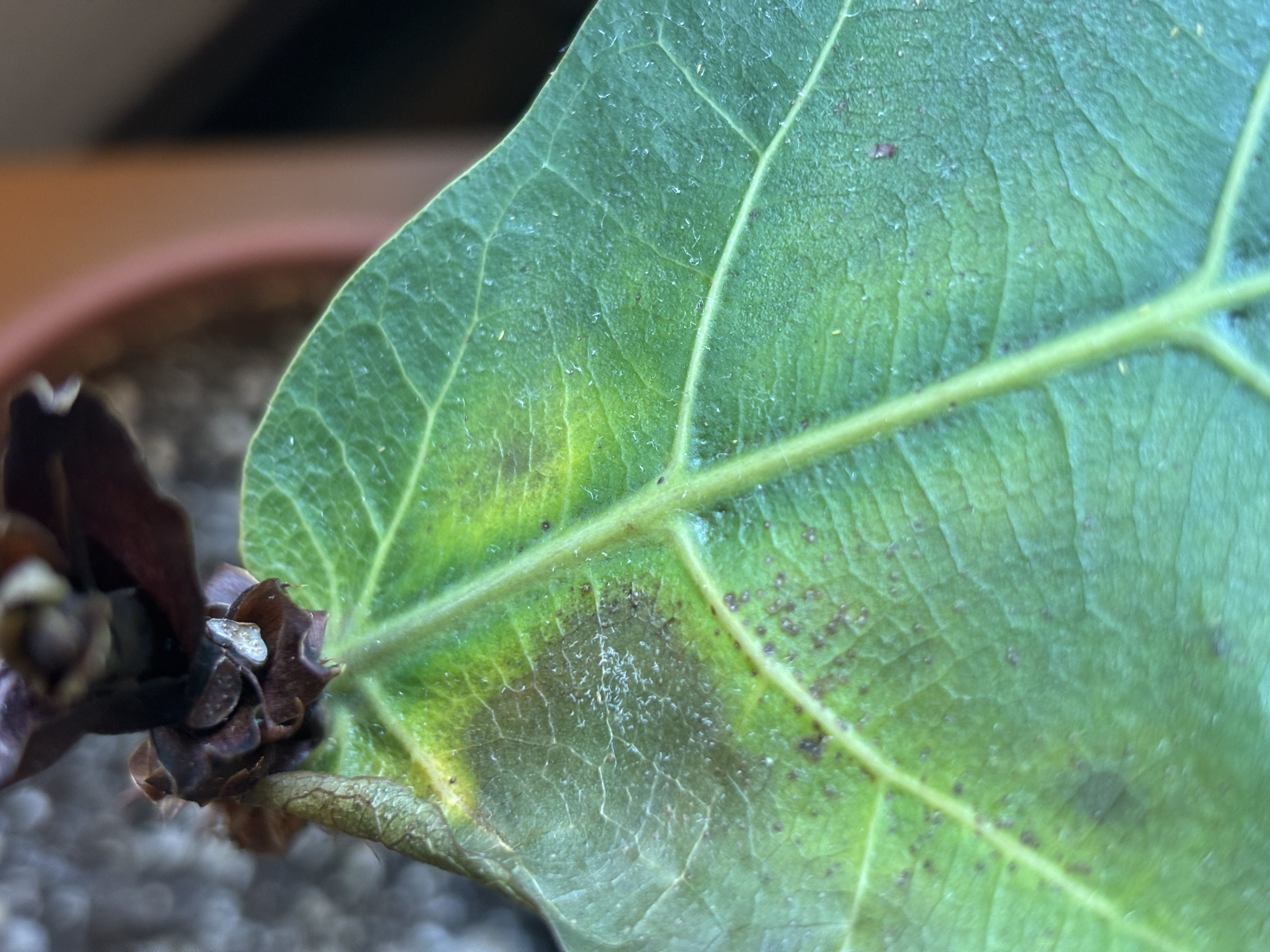 Photo from the post