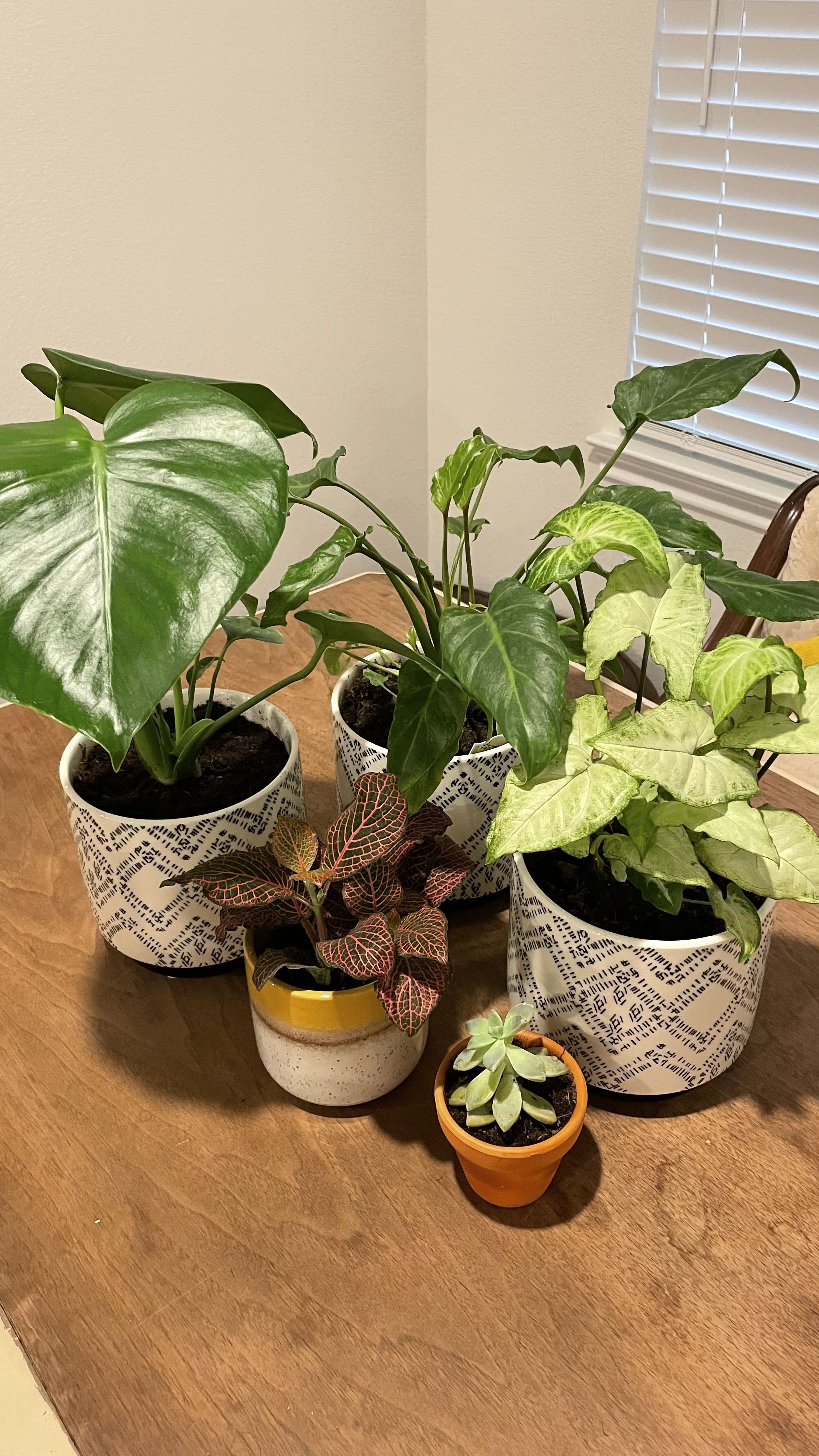 Photo from the post