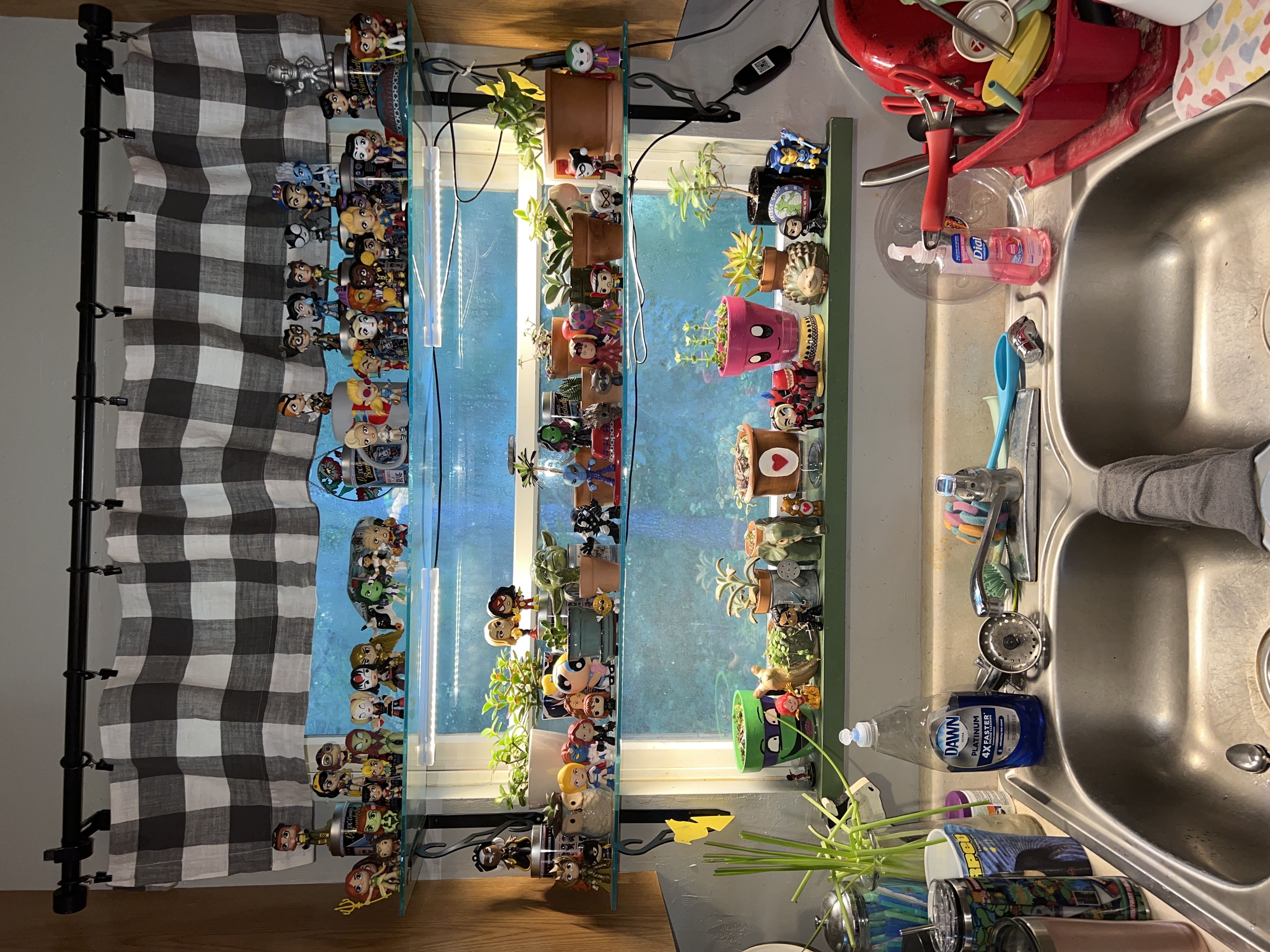Photo from the post
