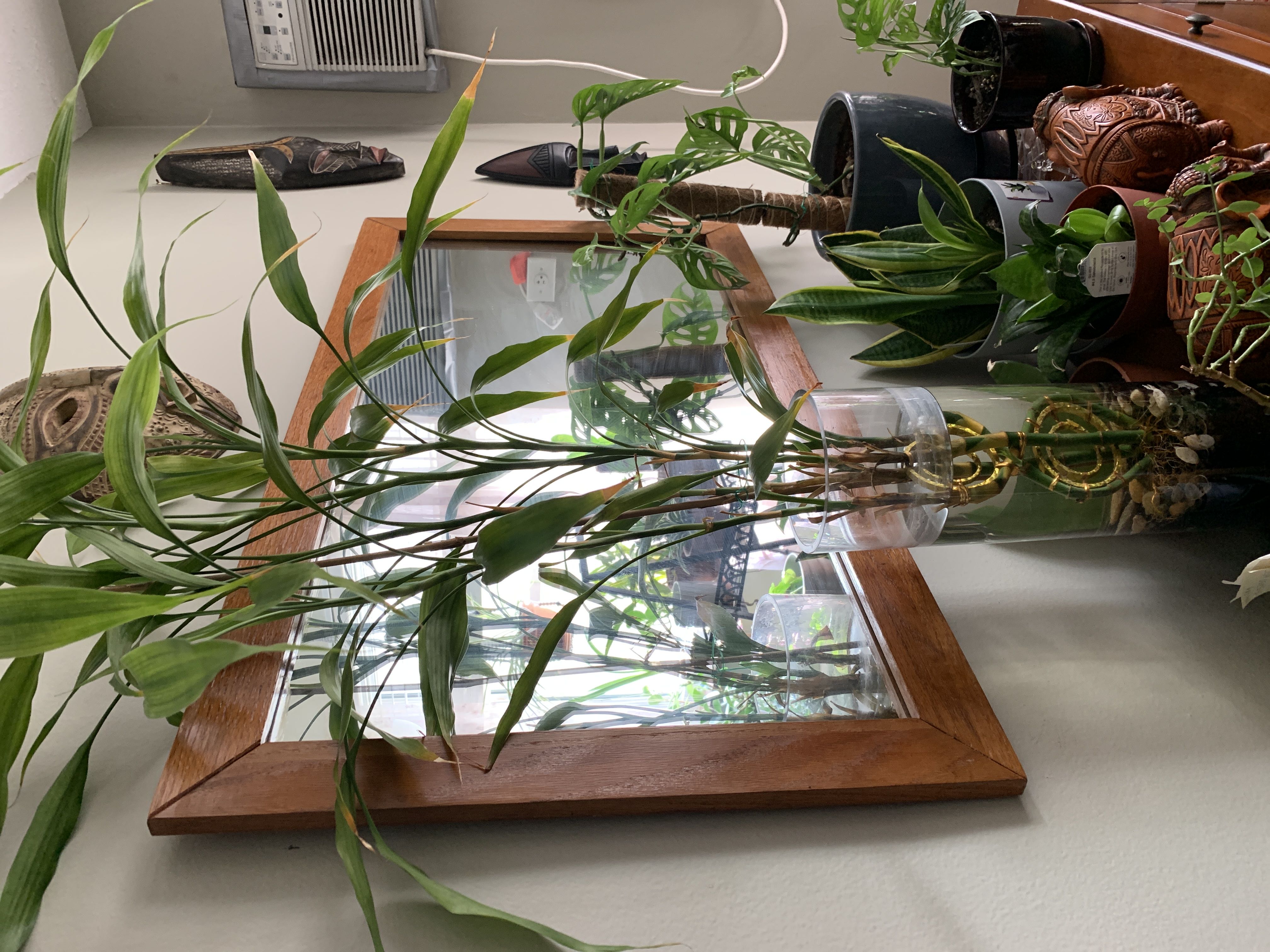 Photo from the post