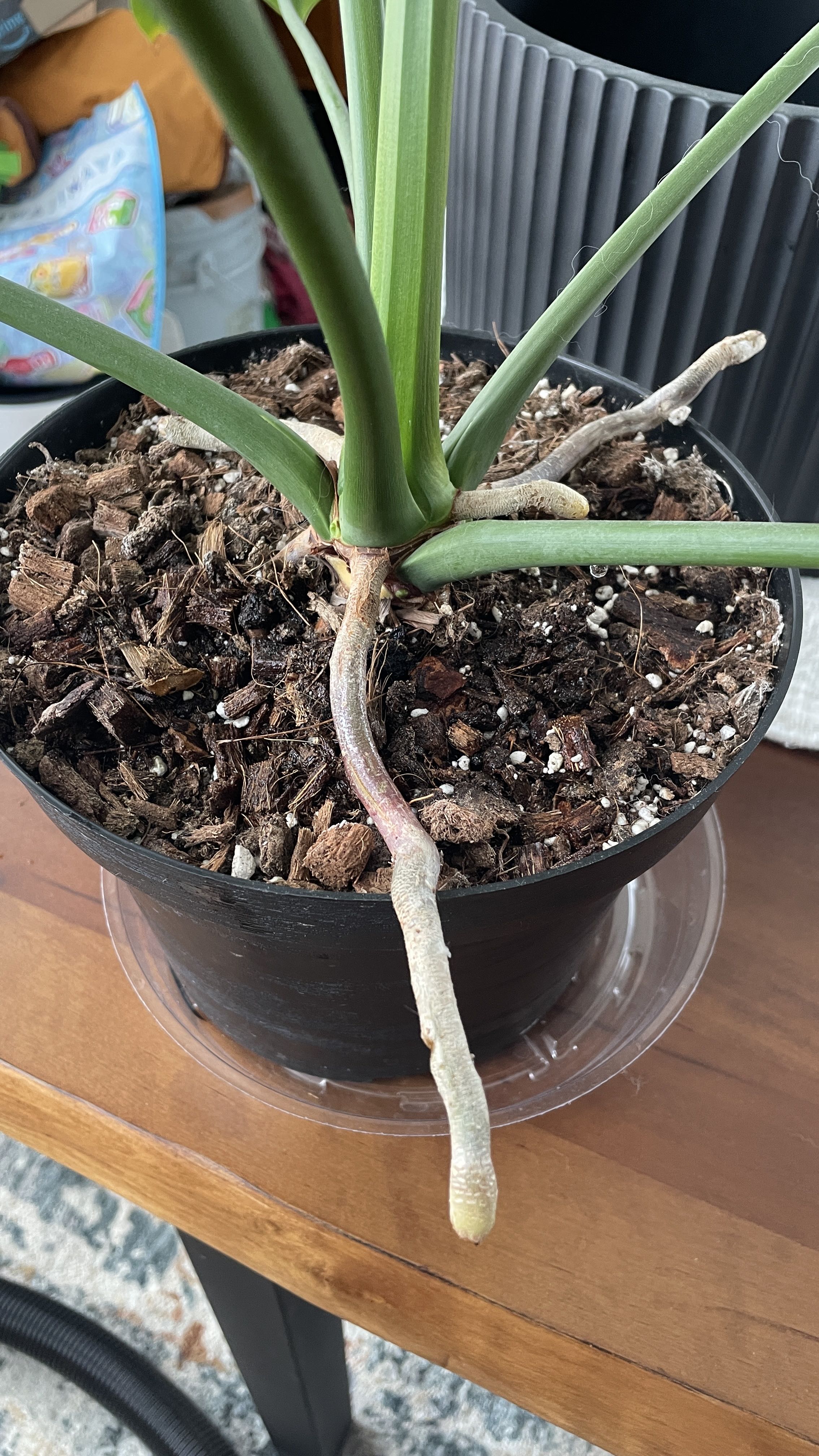 Photo from the post