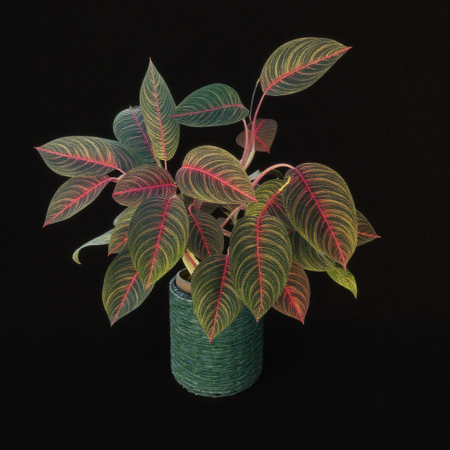 Photo of the plant species Chinese Evergreen 'Garnet Coltrane' by @YammieOf3 named Aggie FLOOR07 ‘Garnet Coltrane/Emerald’ on Greg, the plant care app
