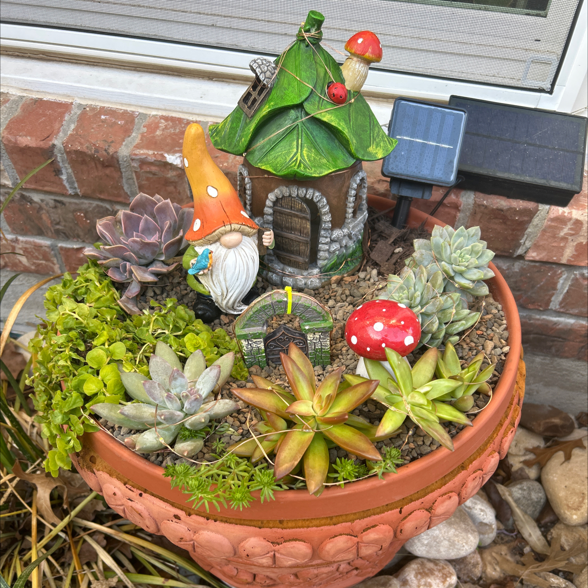 Assorted succulents in a decorative pot with a gnome and miniature house.