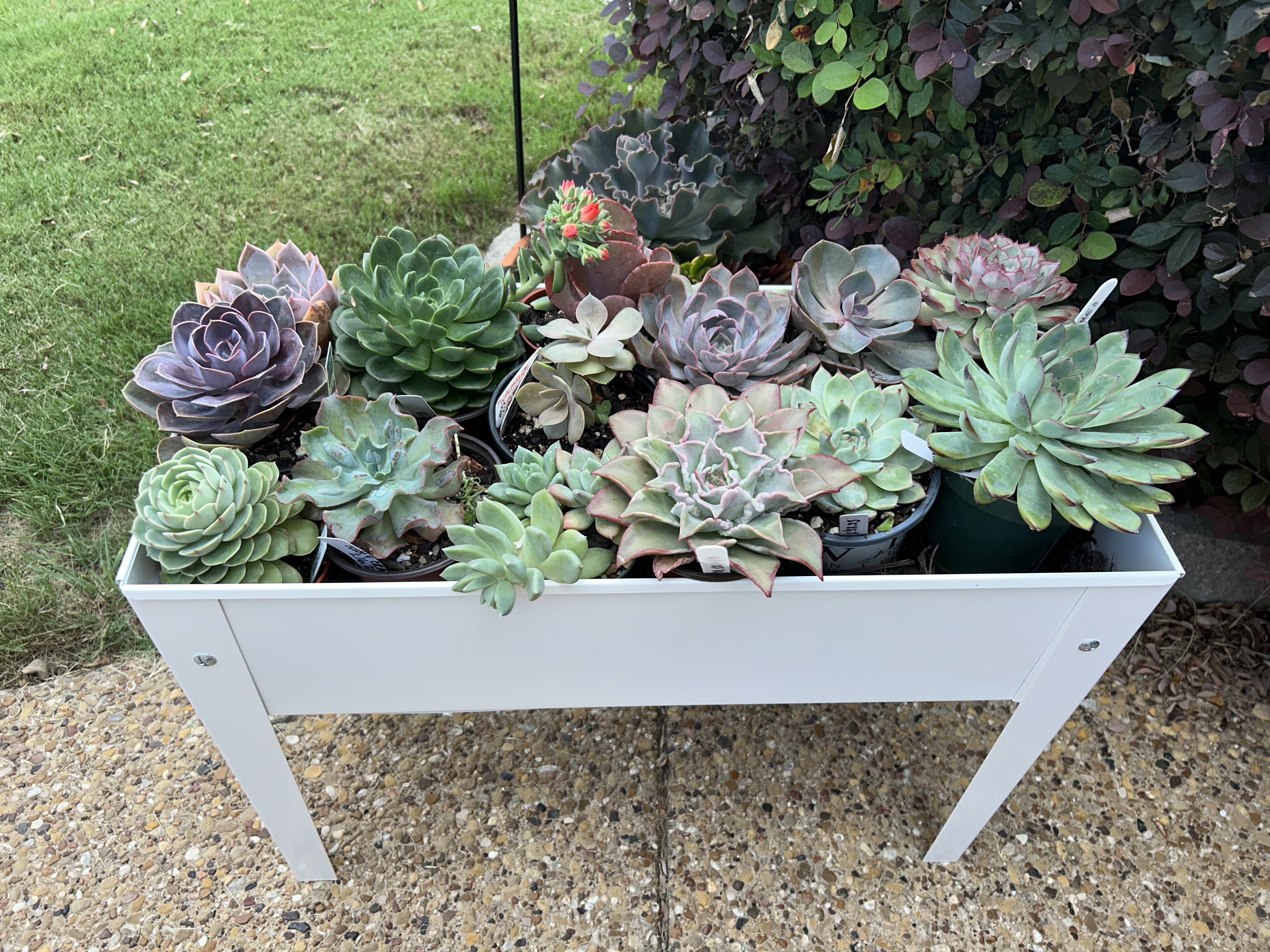Photo from the post