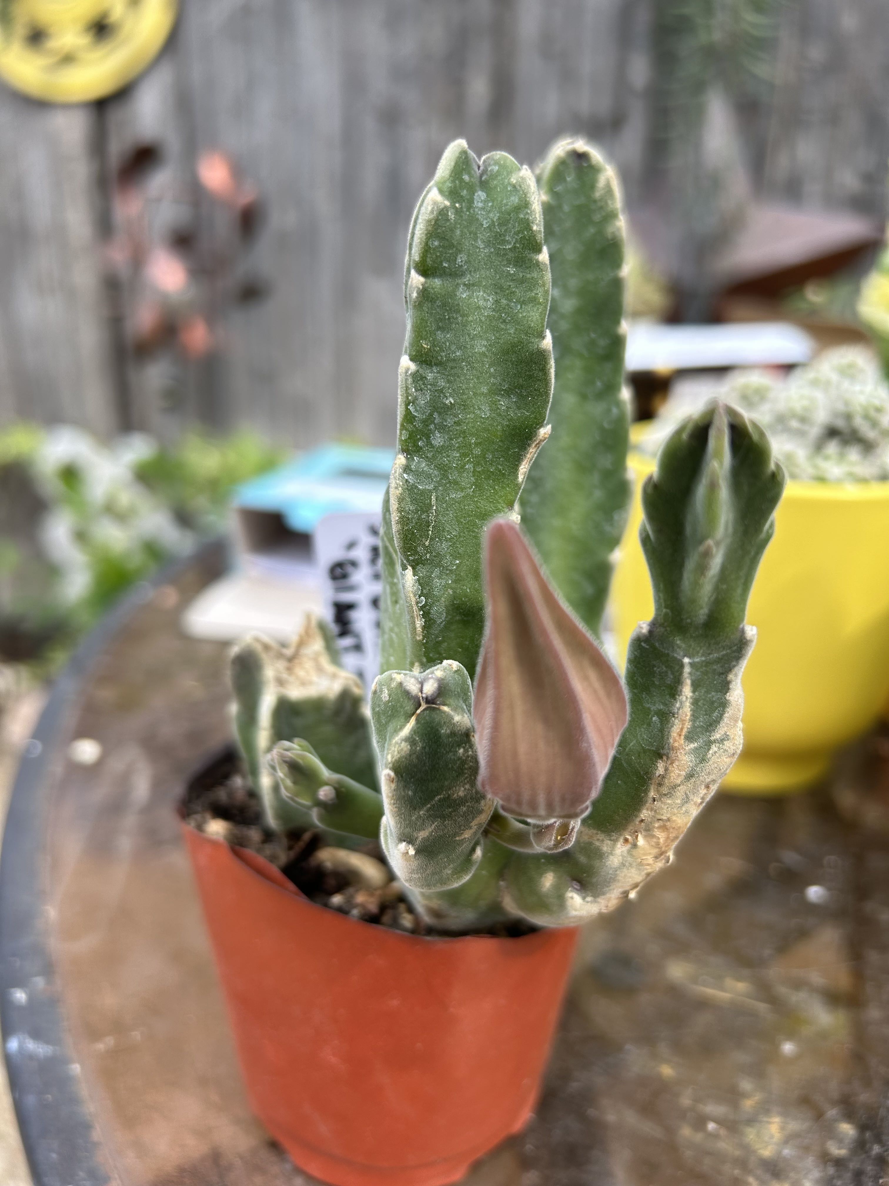 Photo from the post