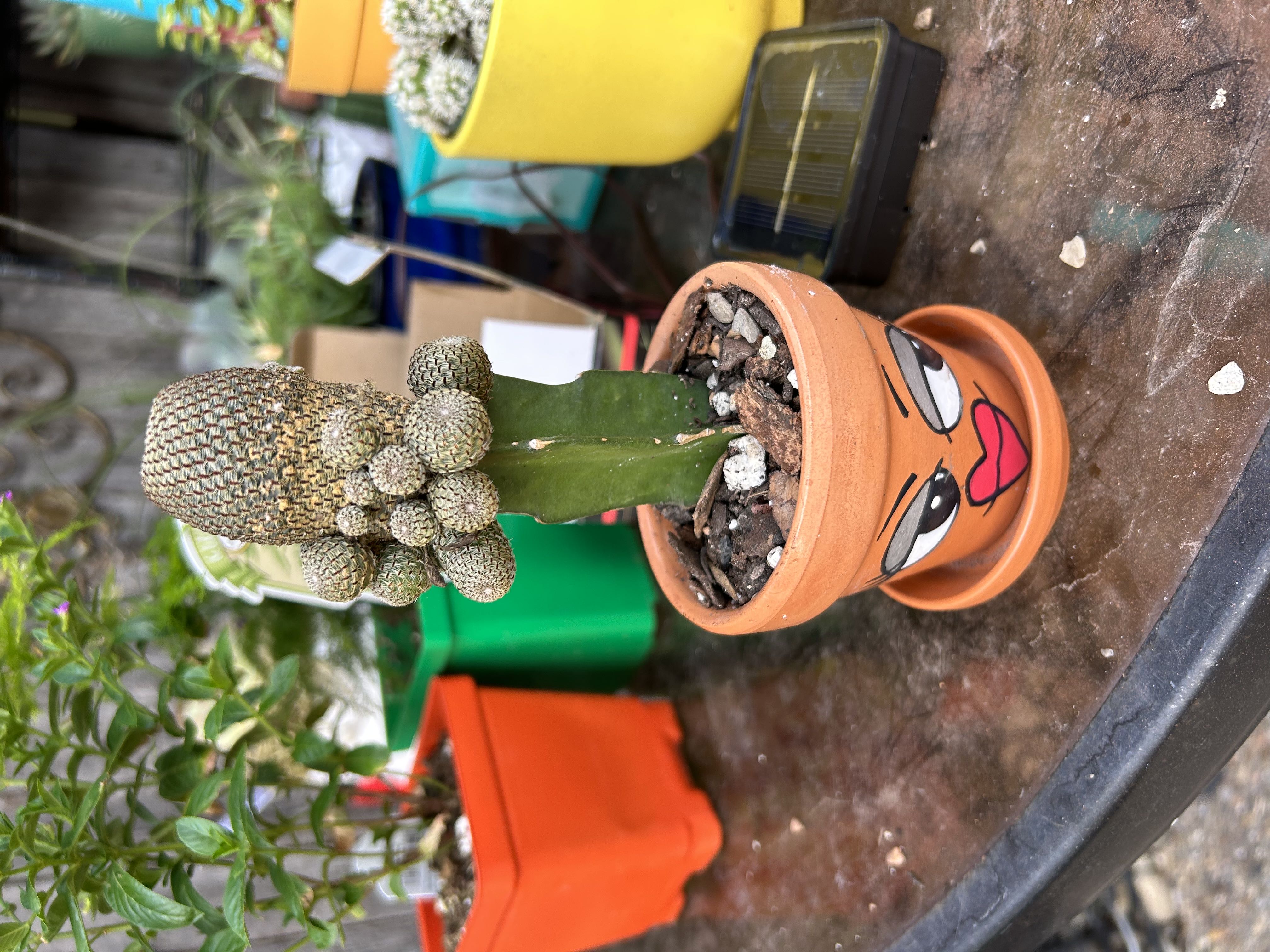 Photo from the post