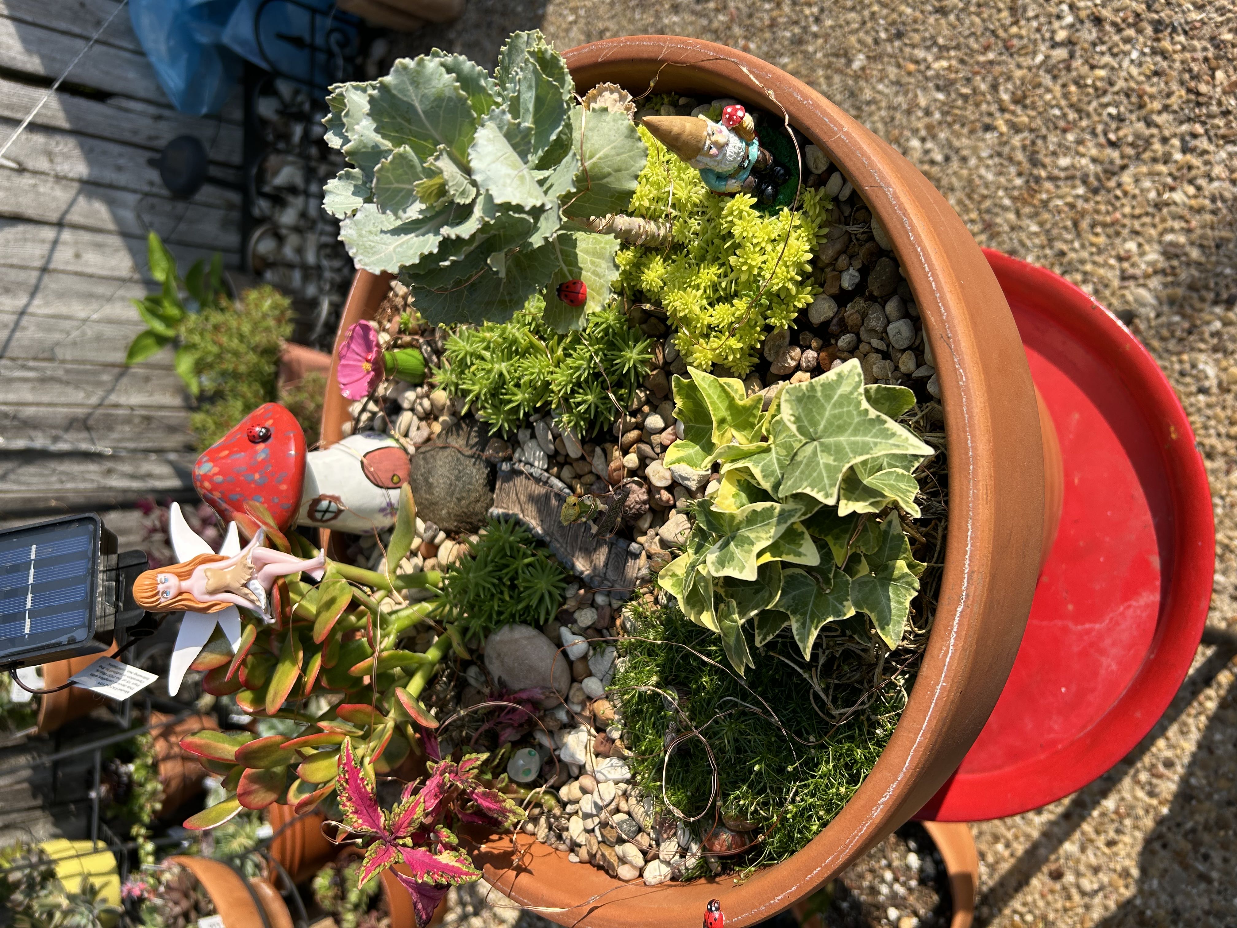 Photo from the post