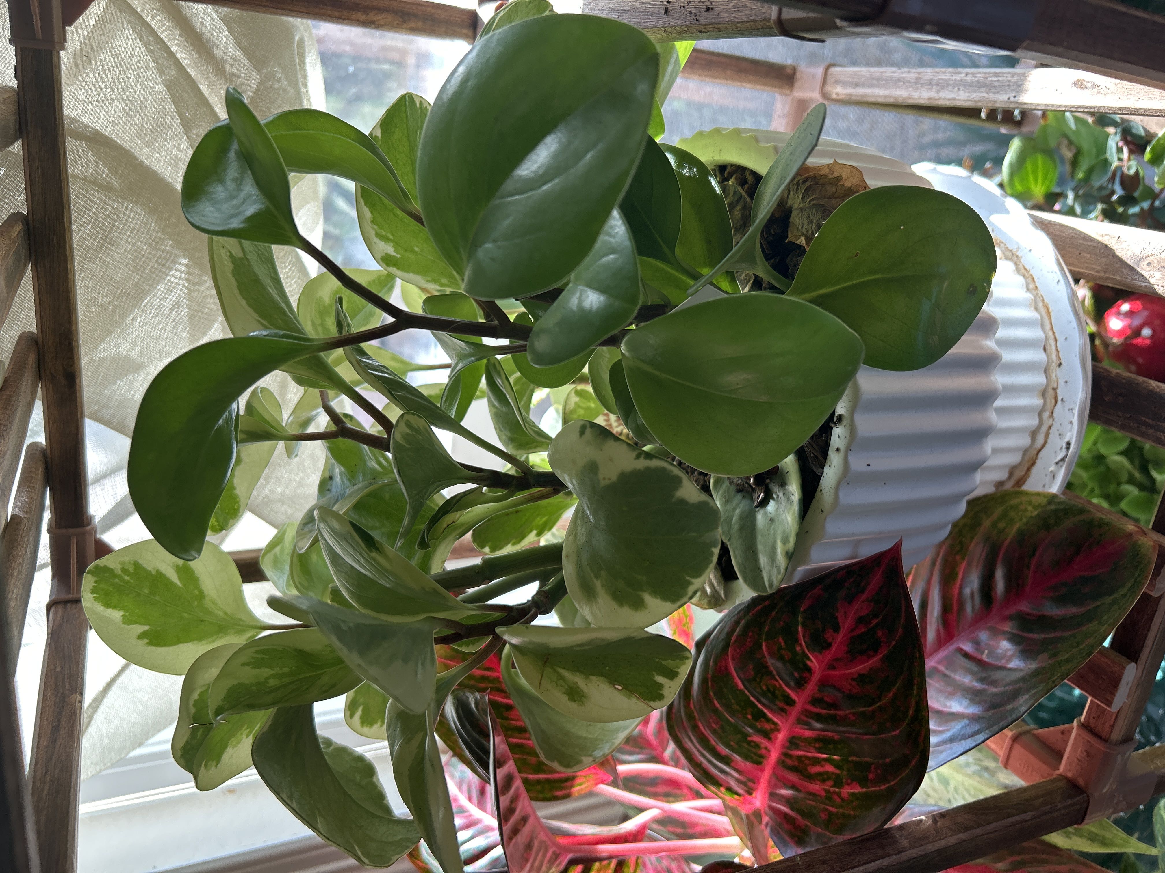 Photo from the post